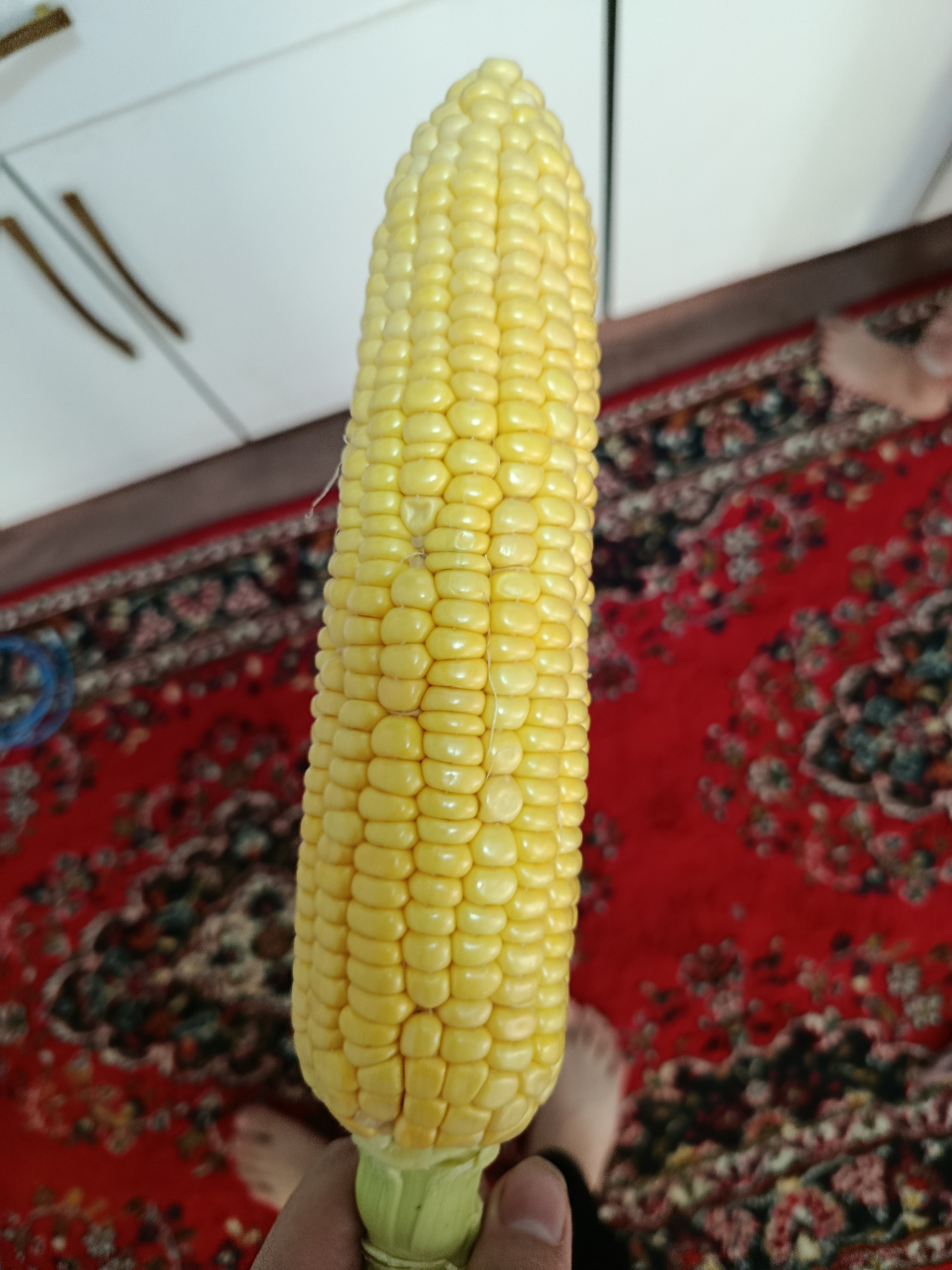 Boiled Corn on Cob