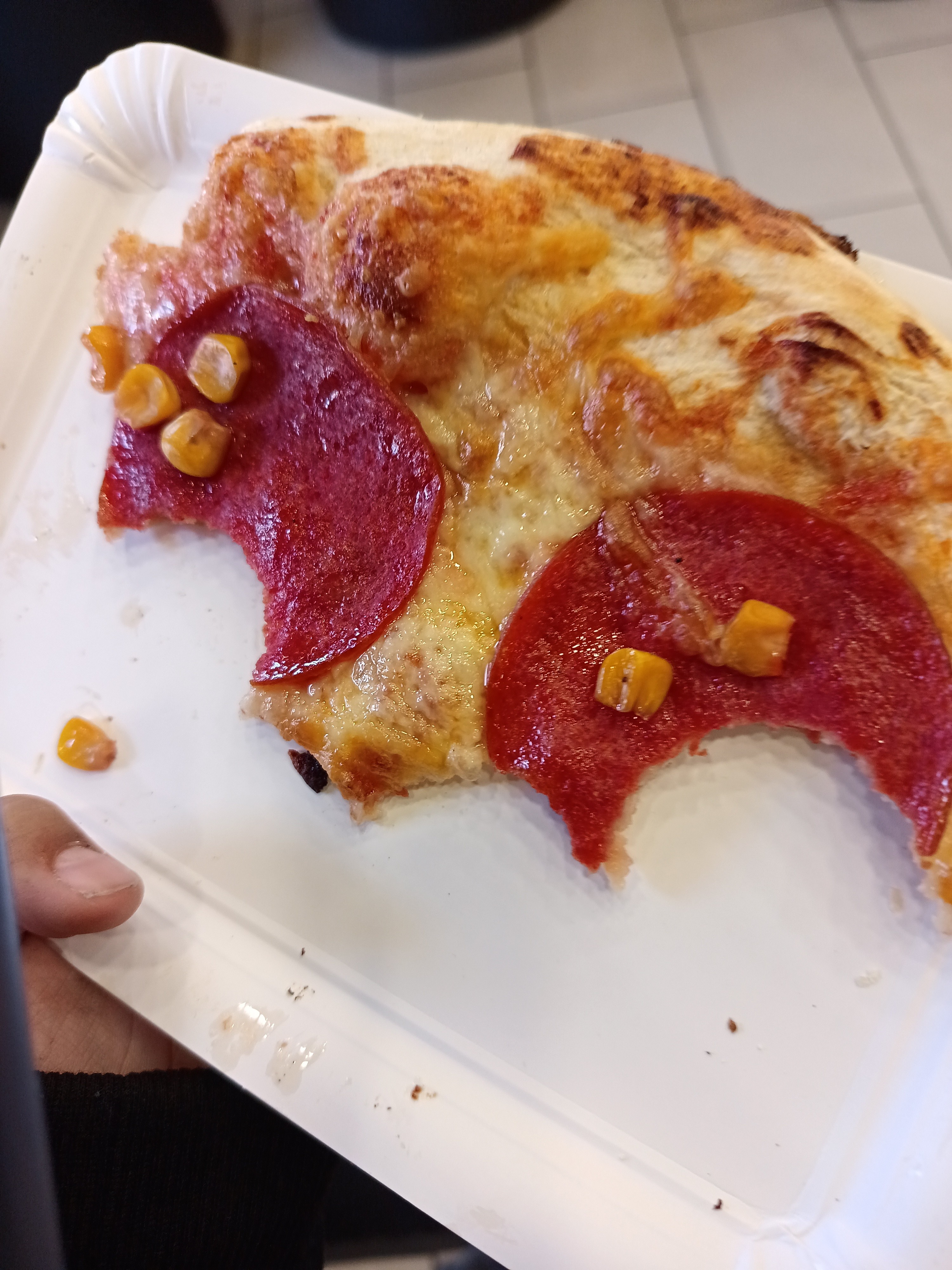Pepperoni pizza slice