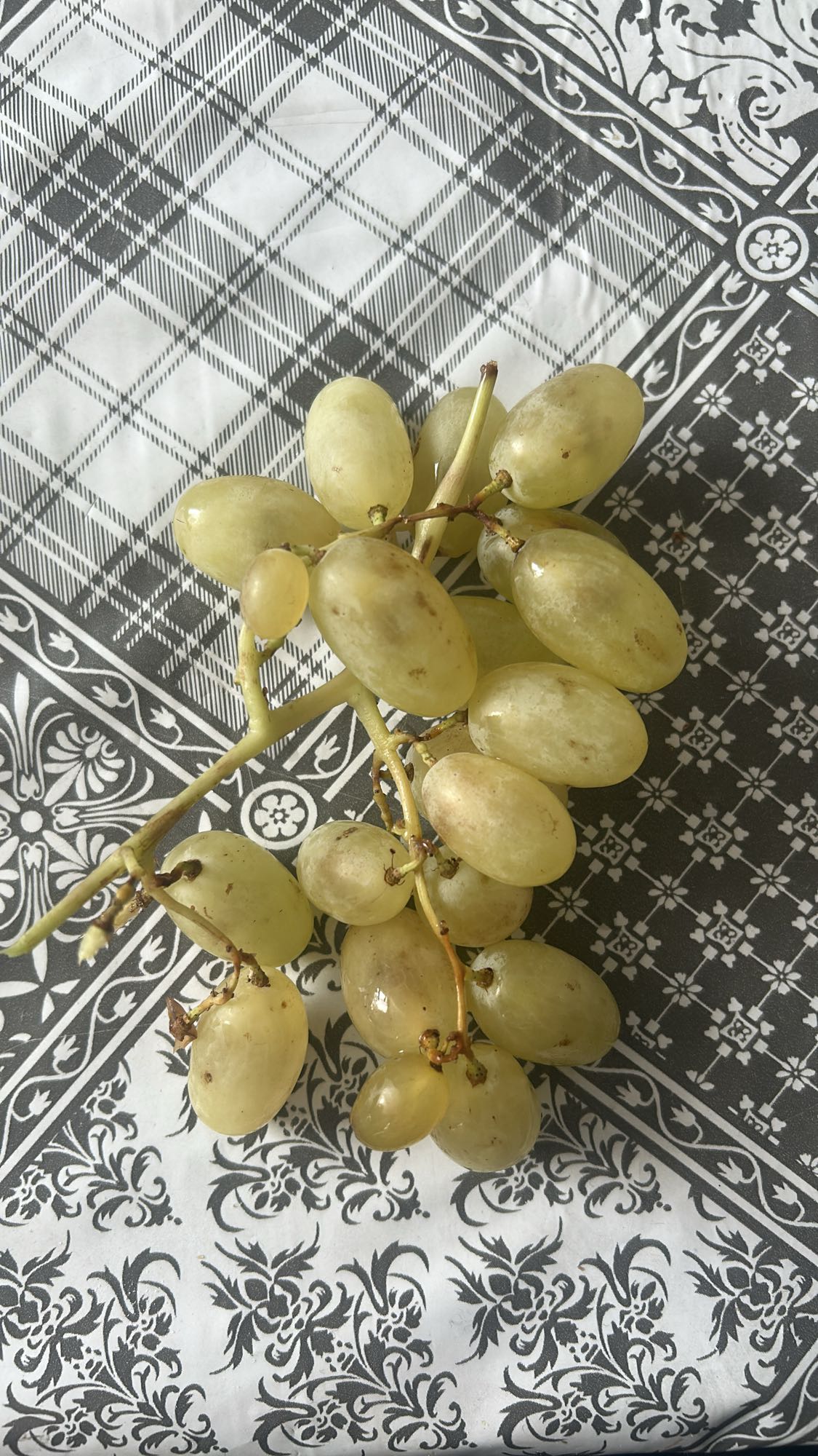 зелёный виноград