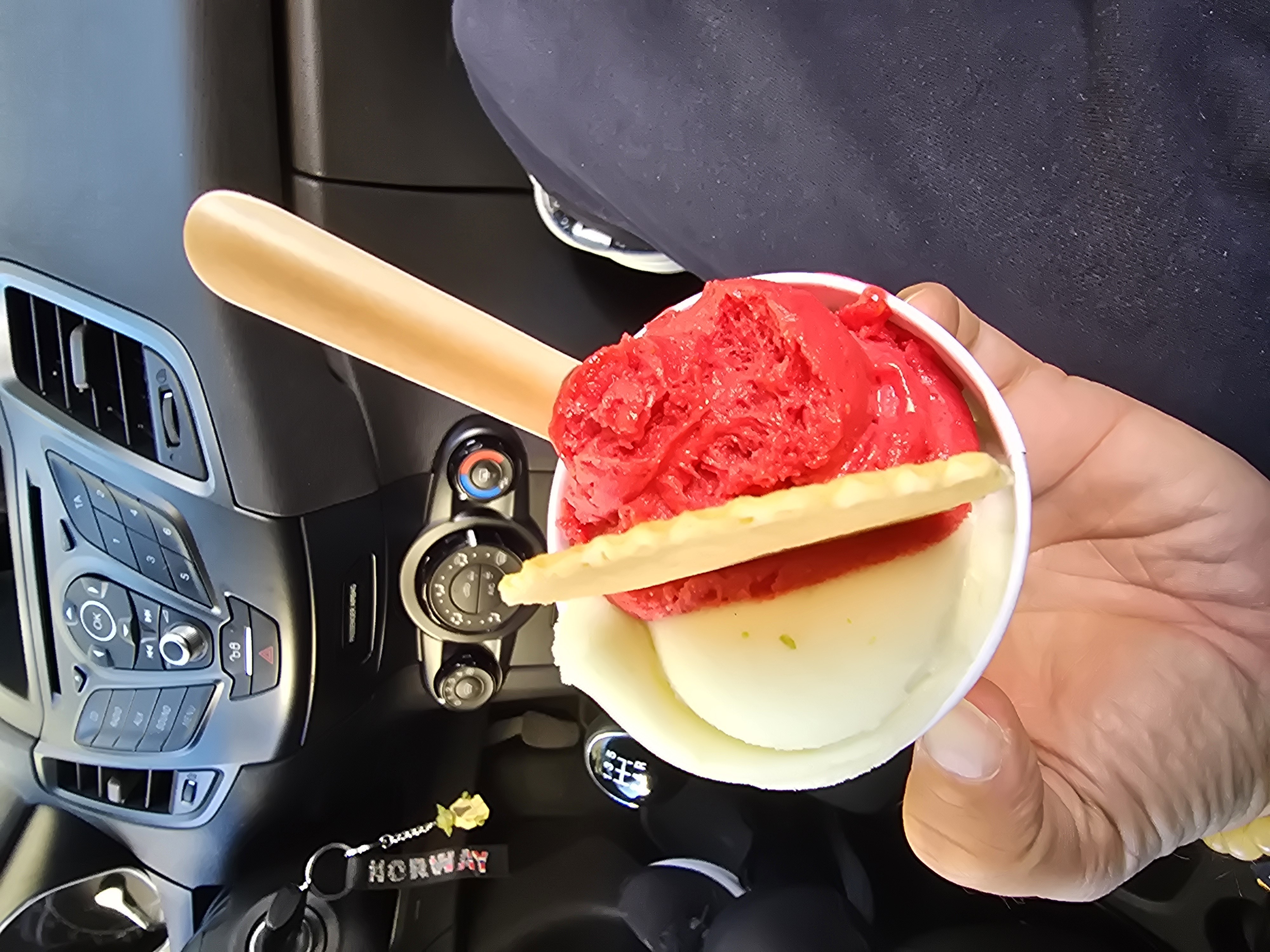 Fruchteis mit Waffel