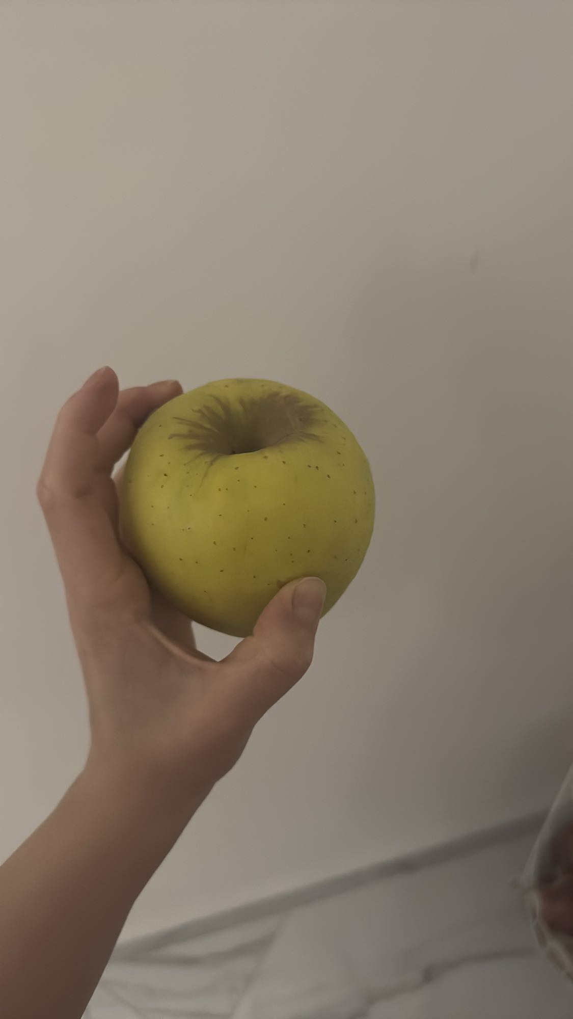 зелёное яблоко