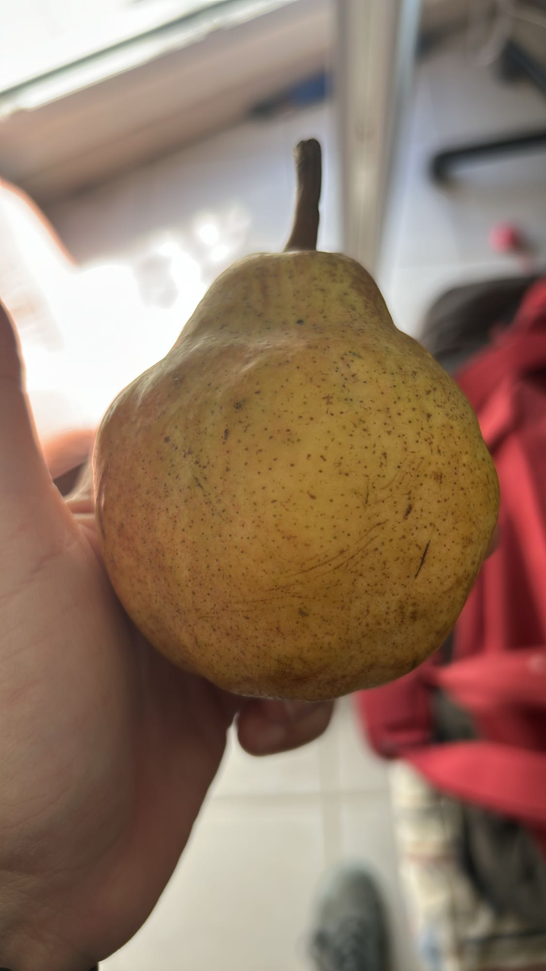 Poire fraîche