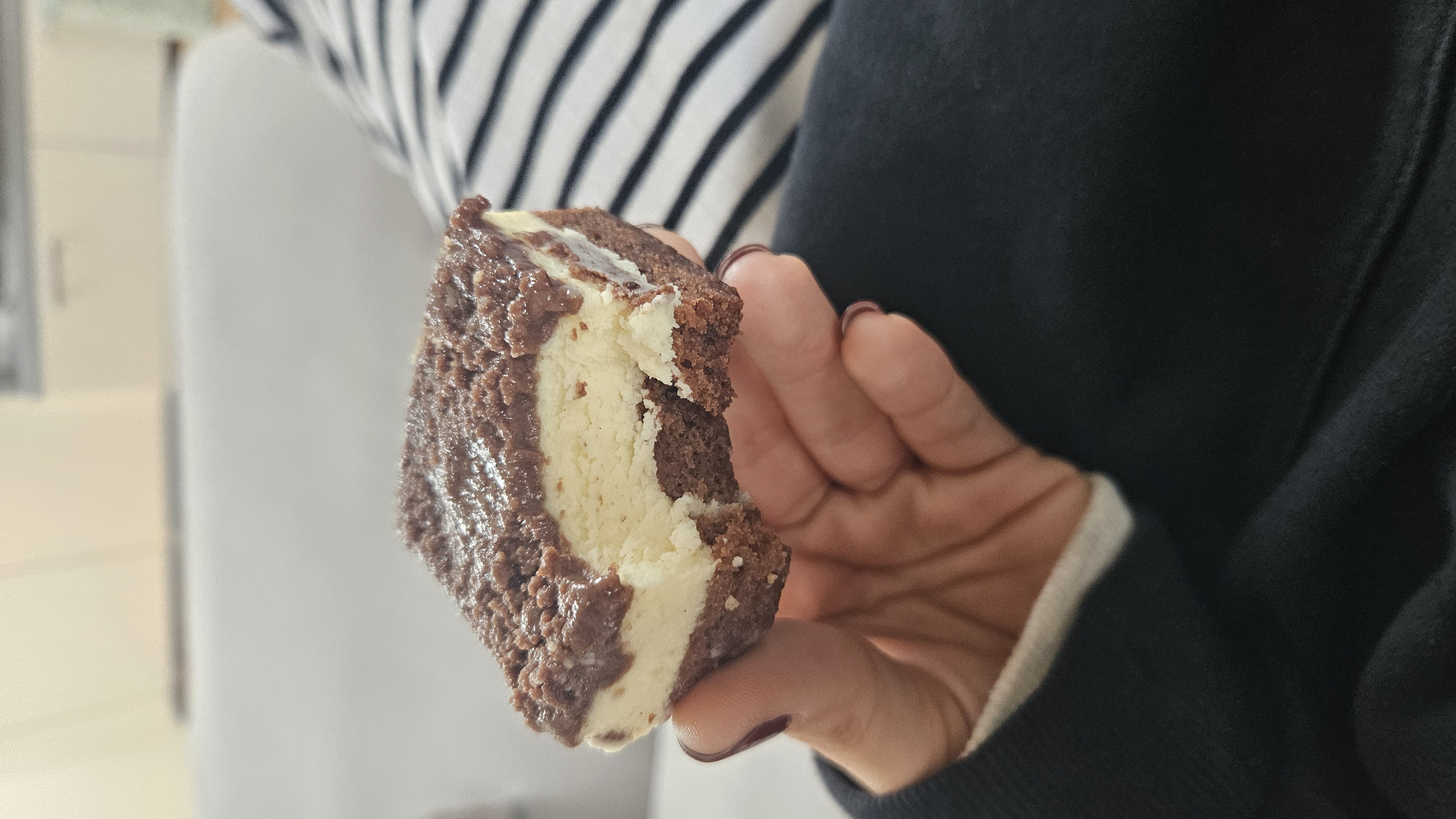 Schoko-Käsekuchen-Stück