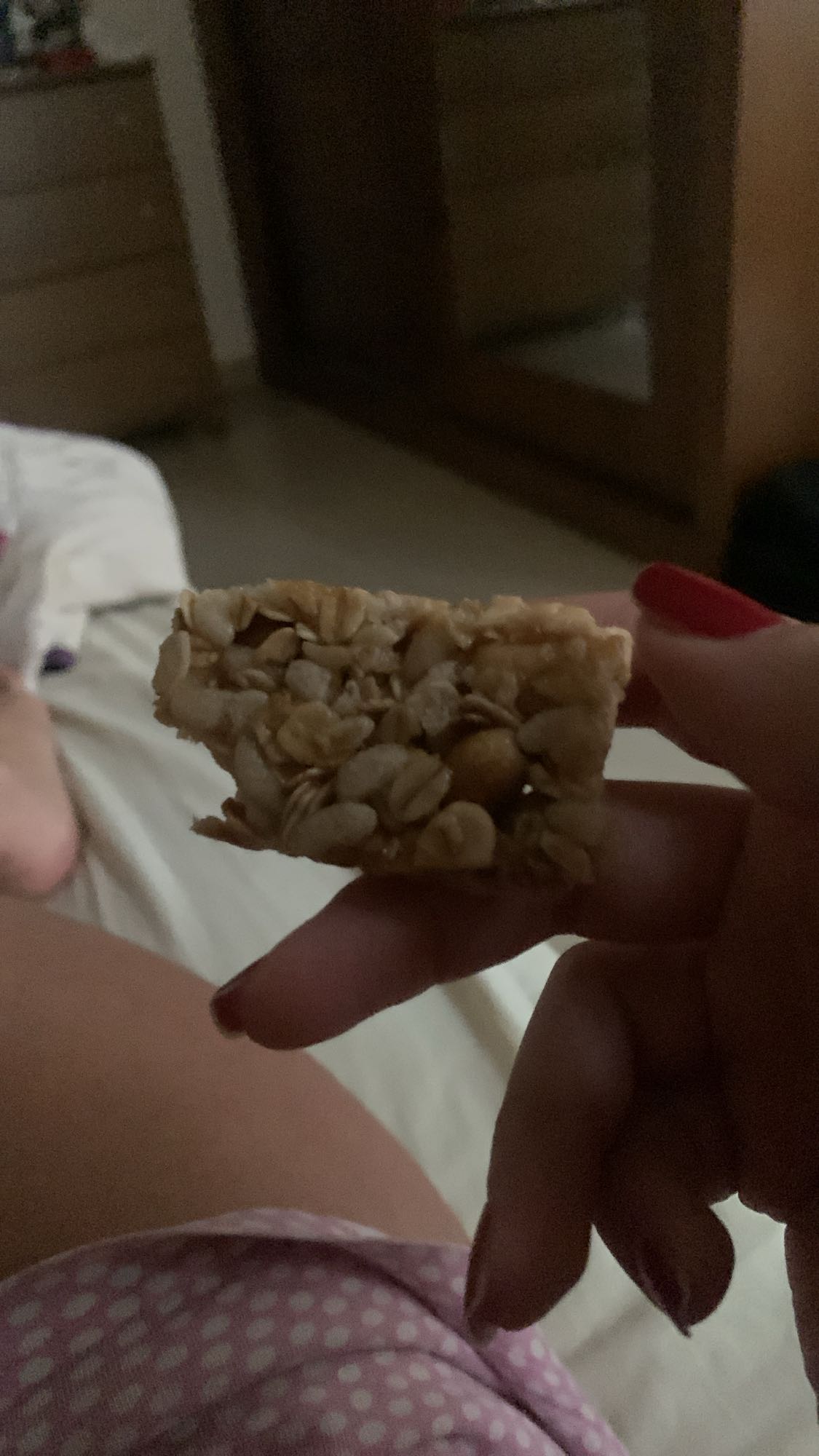 Homemade granola bar
