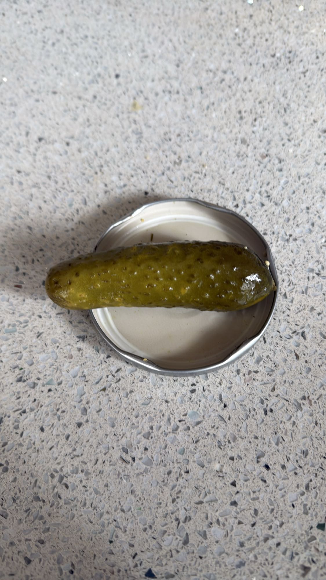 Pepinillo en vinagre