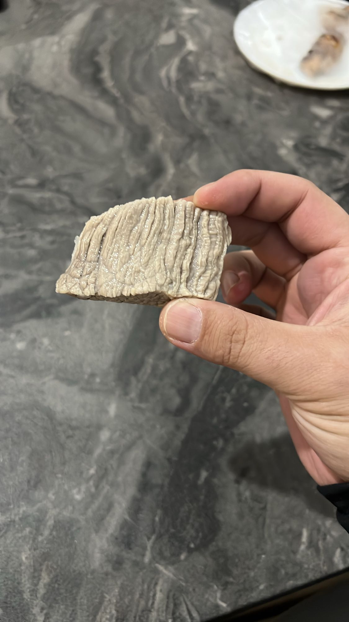 խաշի տափակ աղիք