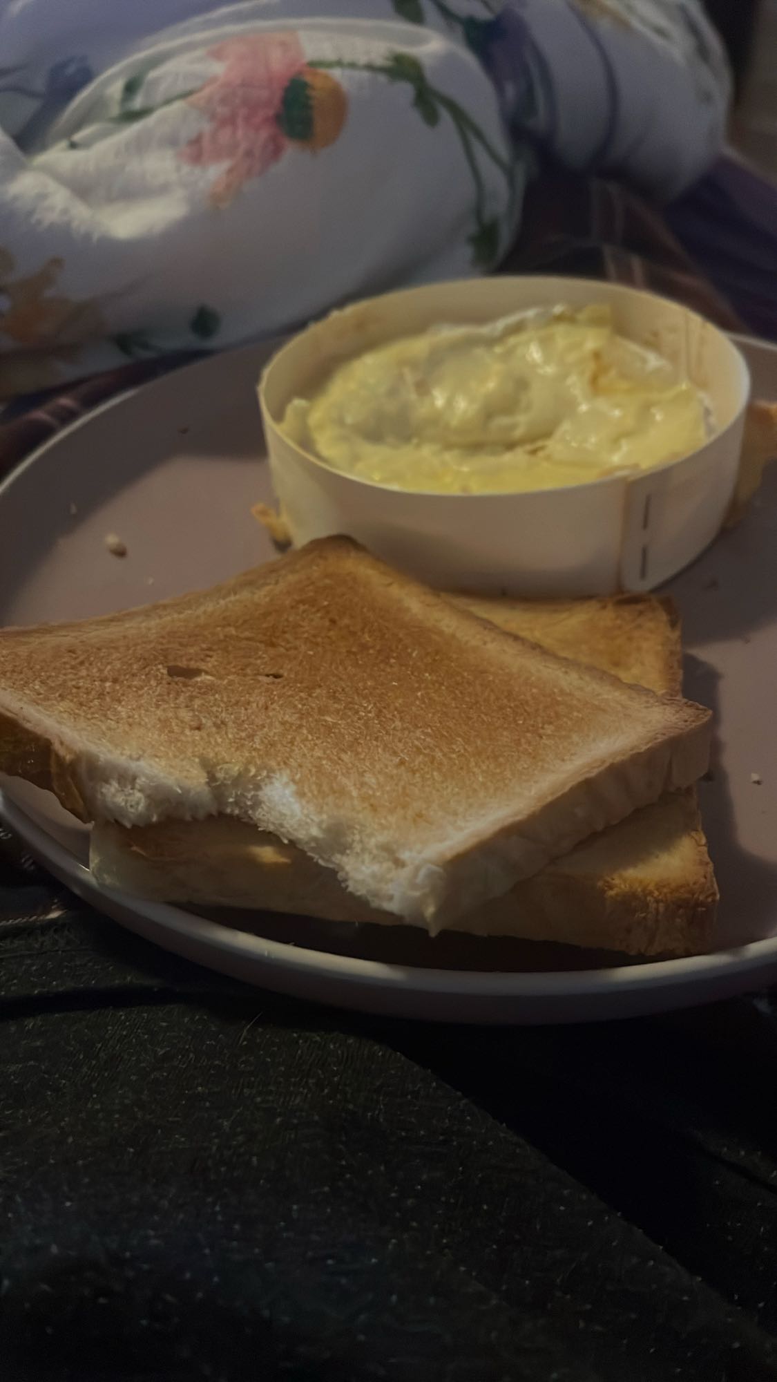 Toast ve eritilmiş peynir