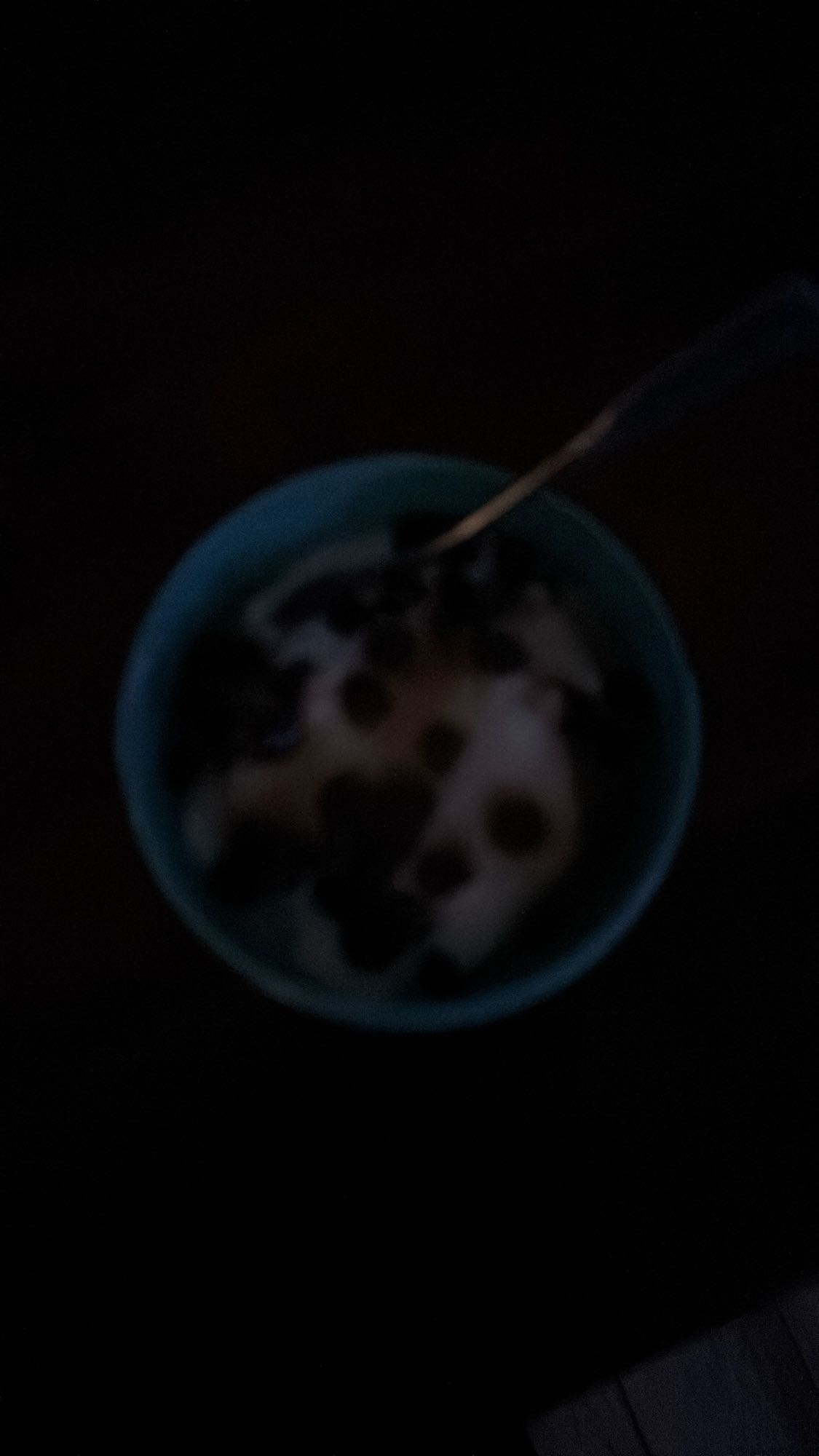 yaourt au chocolat noir