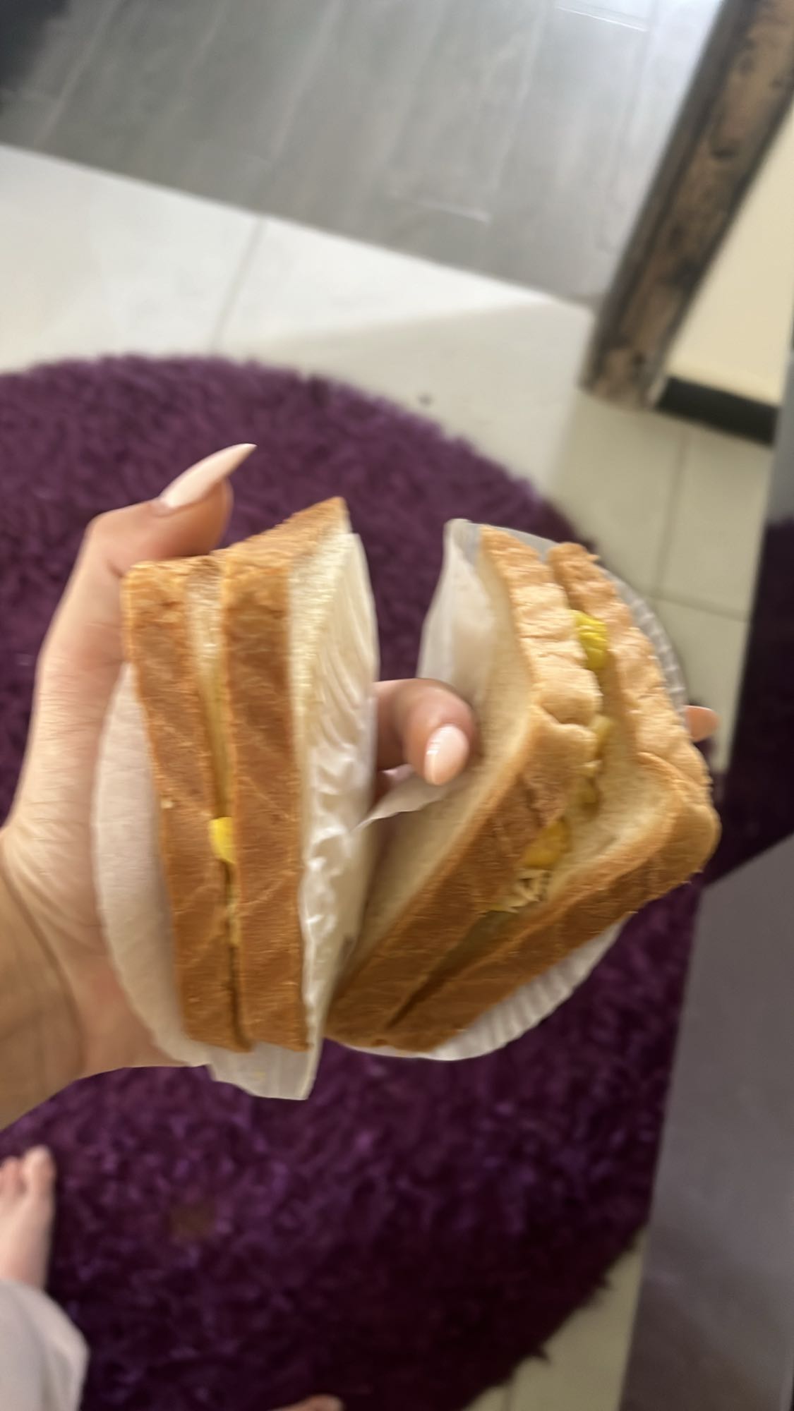 Toasted Sandwich