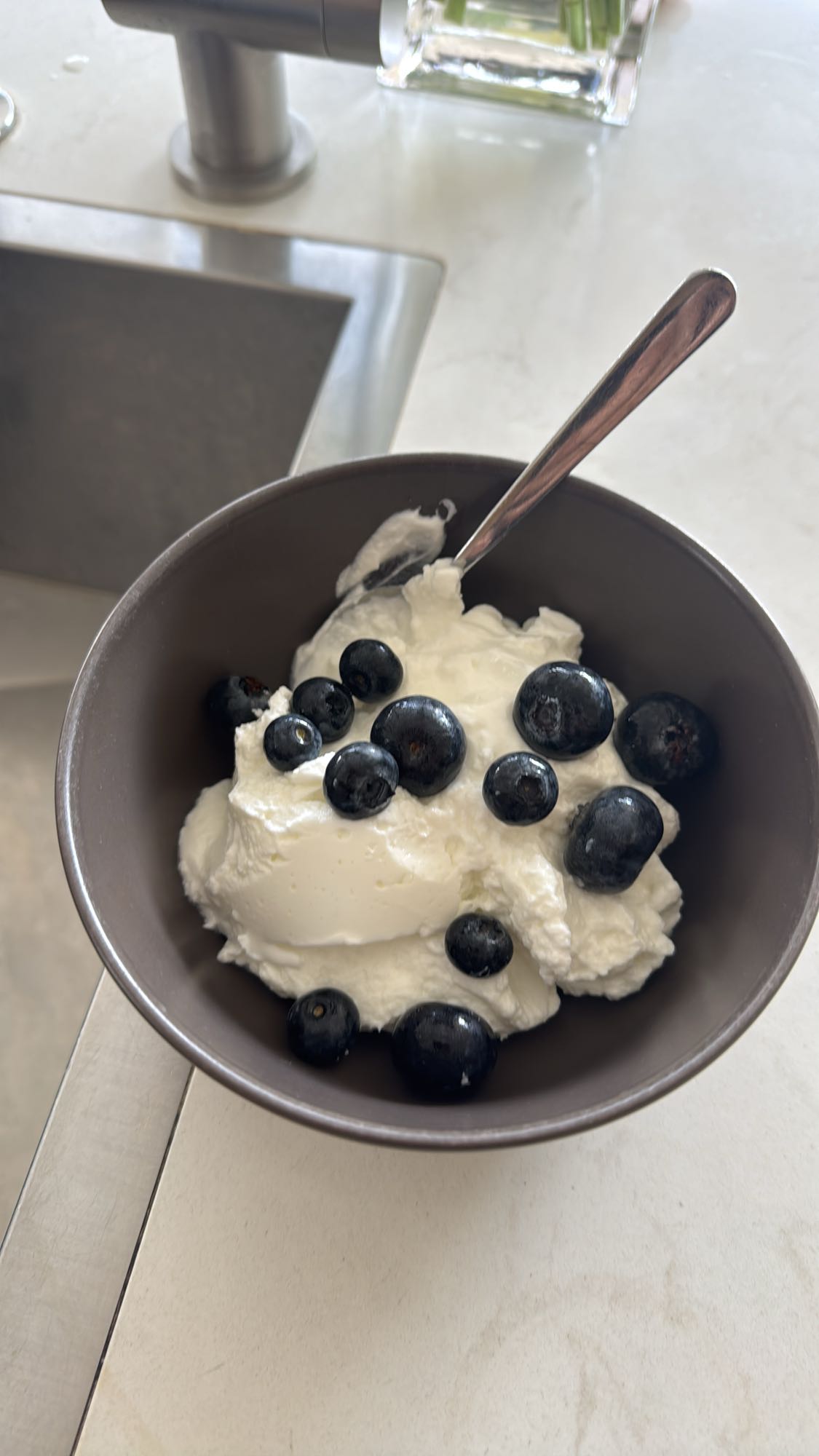 Greek Yogurt with Blueberries