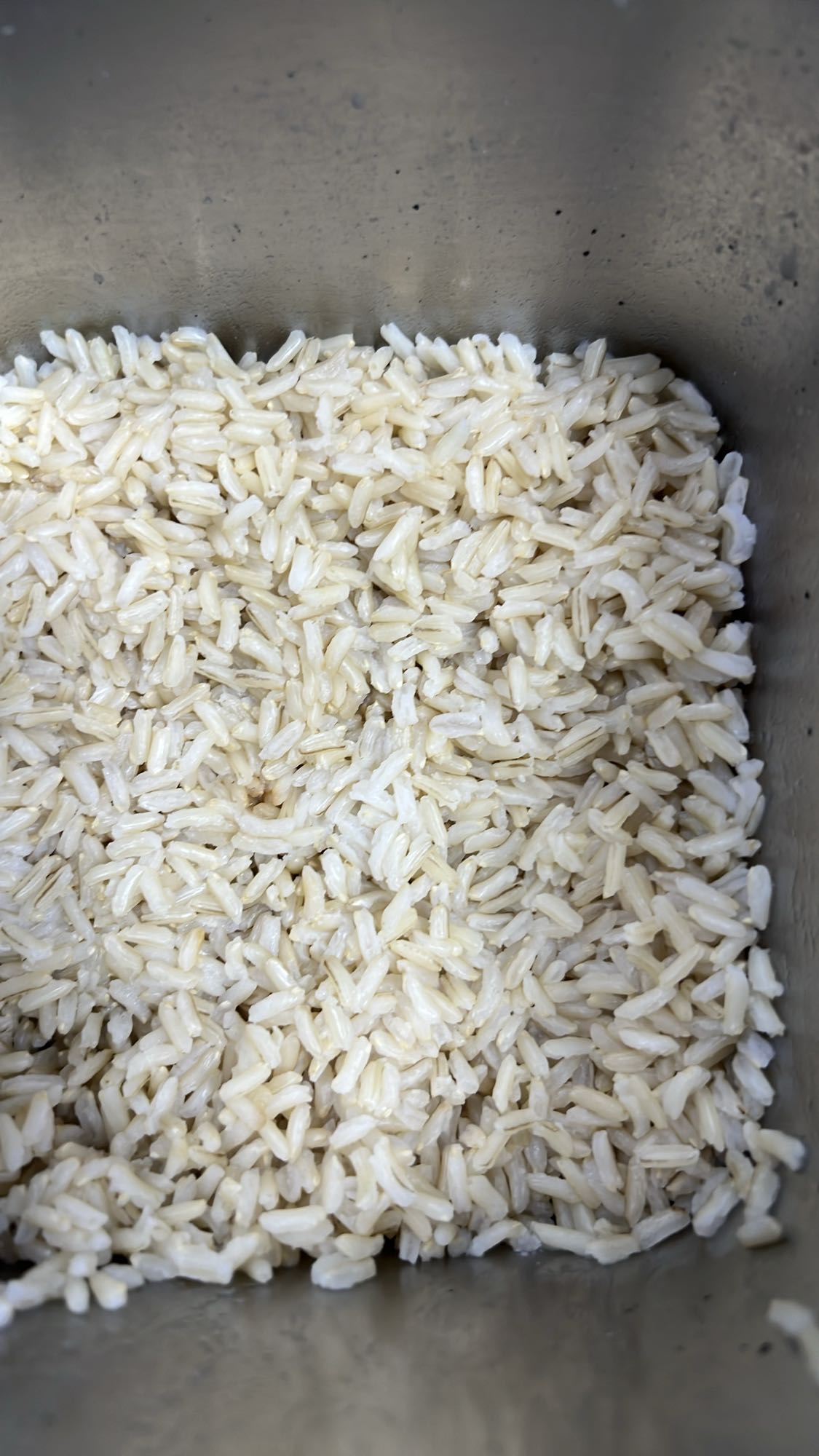 Cooked Brown Rice