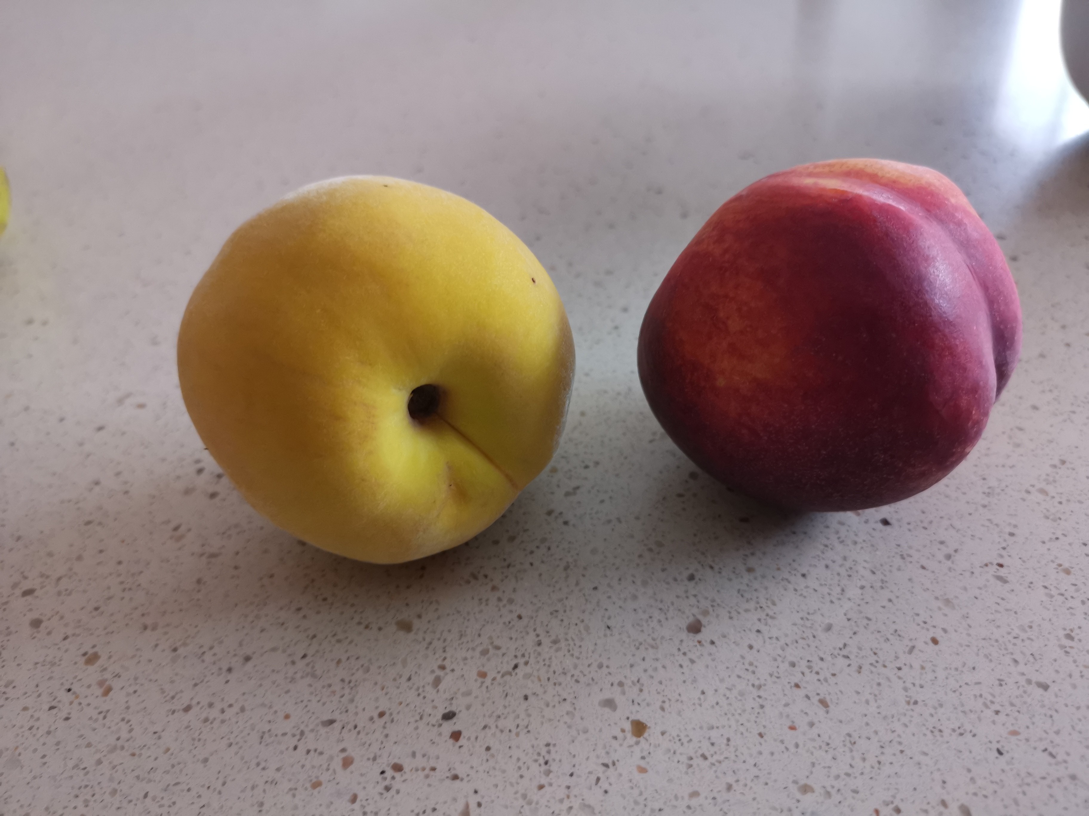 Frutas frescas: durazno y nectarina