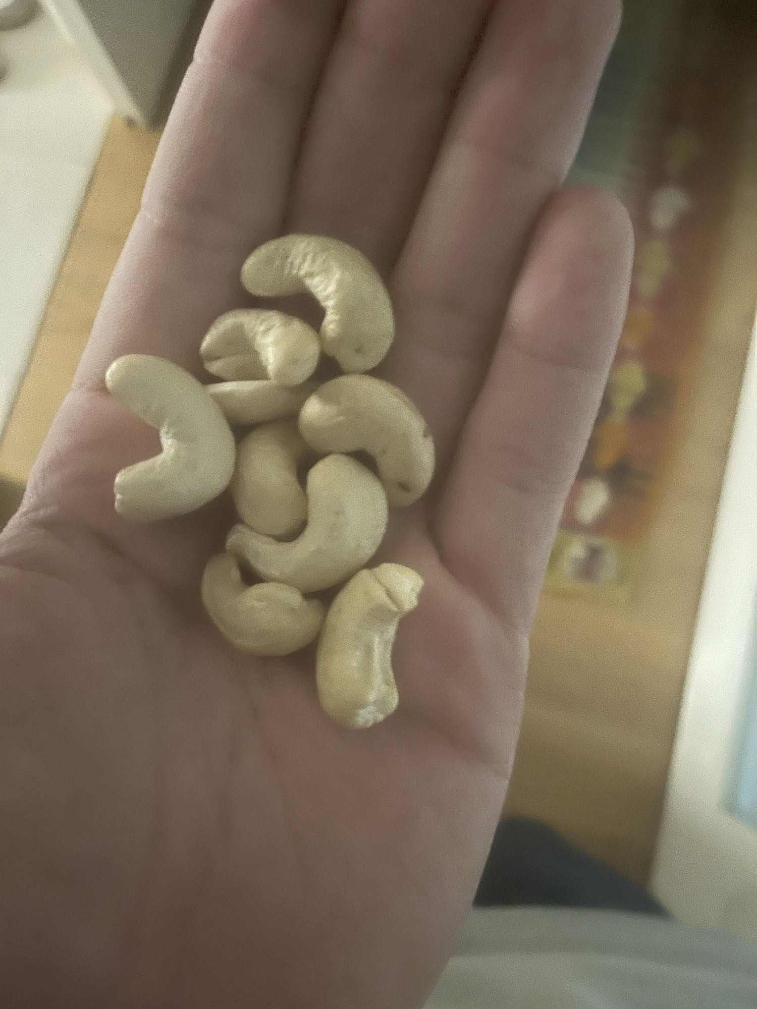 Nuez de la India en mano