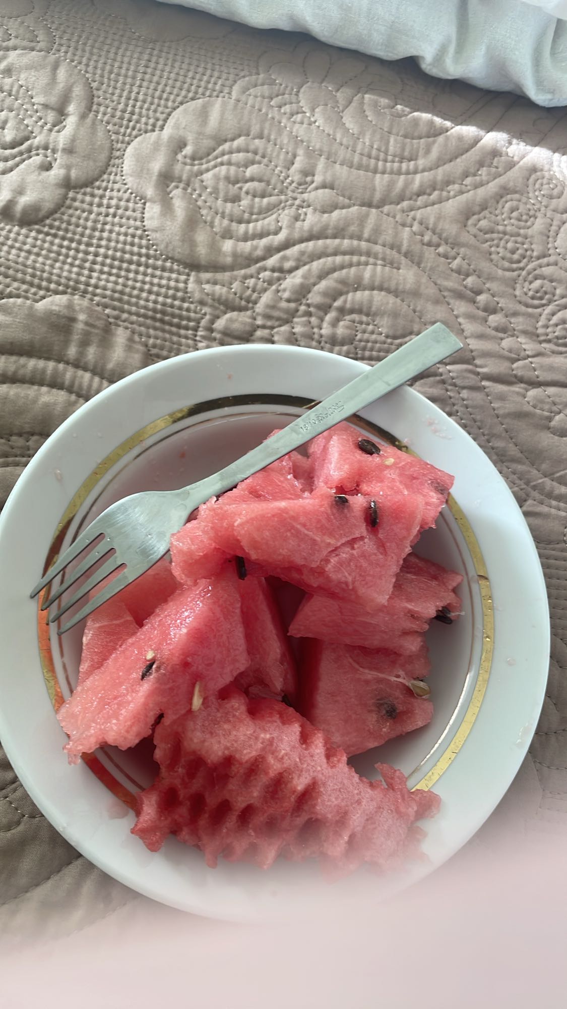 Watermelon slices