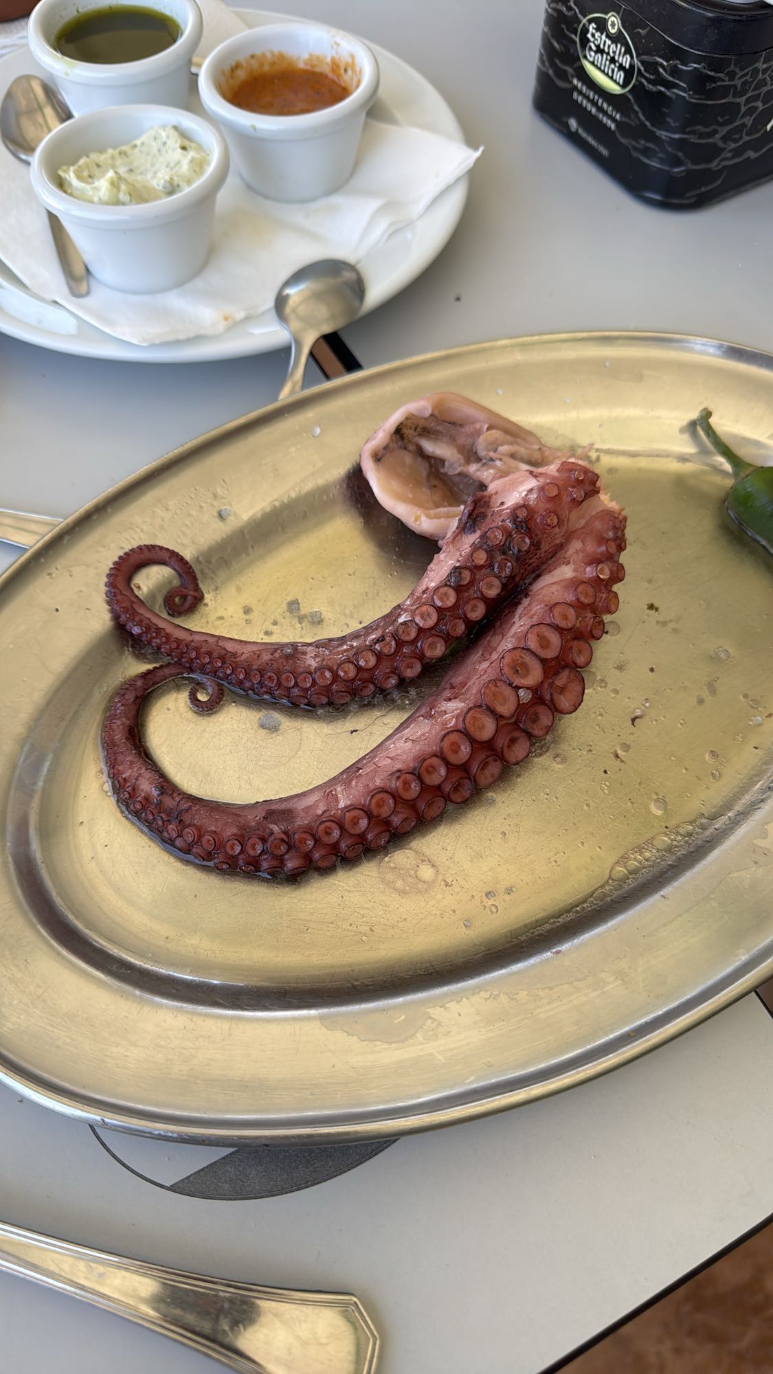 tentáculos de pulpo