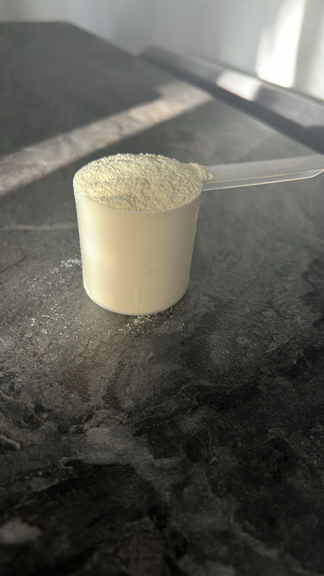 պրոտեին փոշի