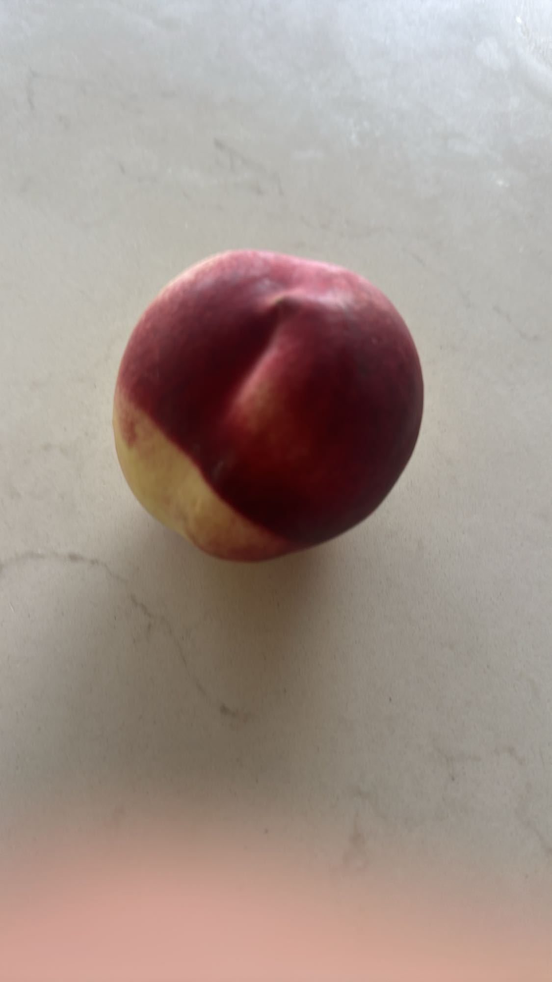 Fresh Nectarine
