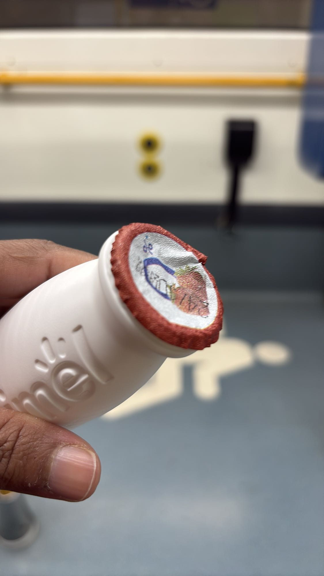 bebida láctea fresa