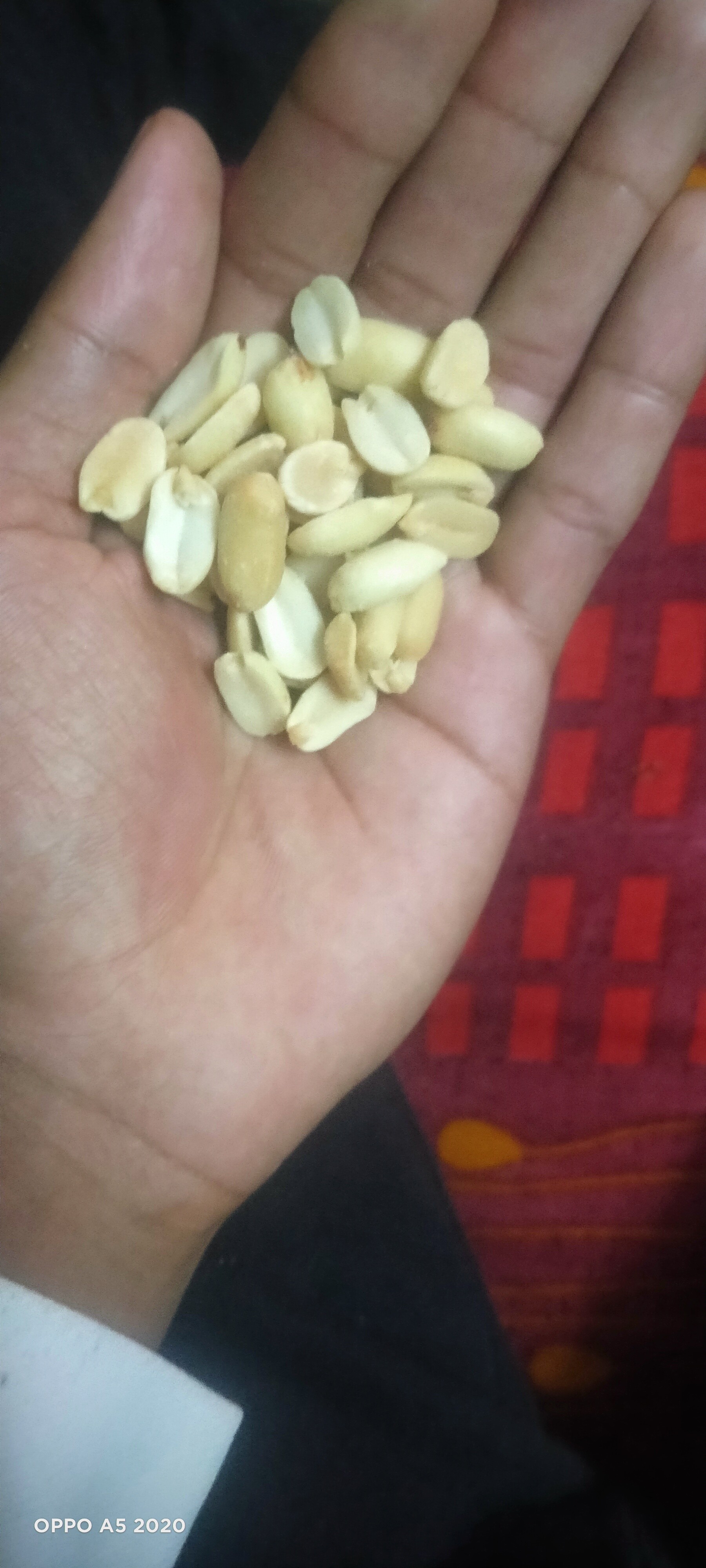 Handful of peanuts