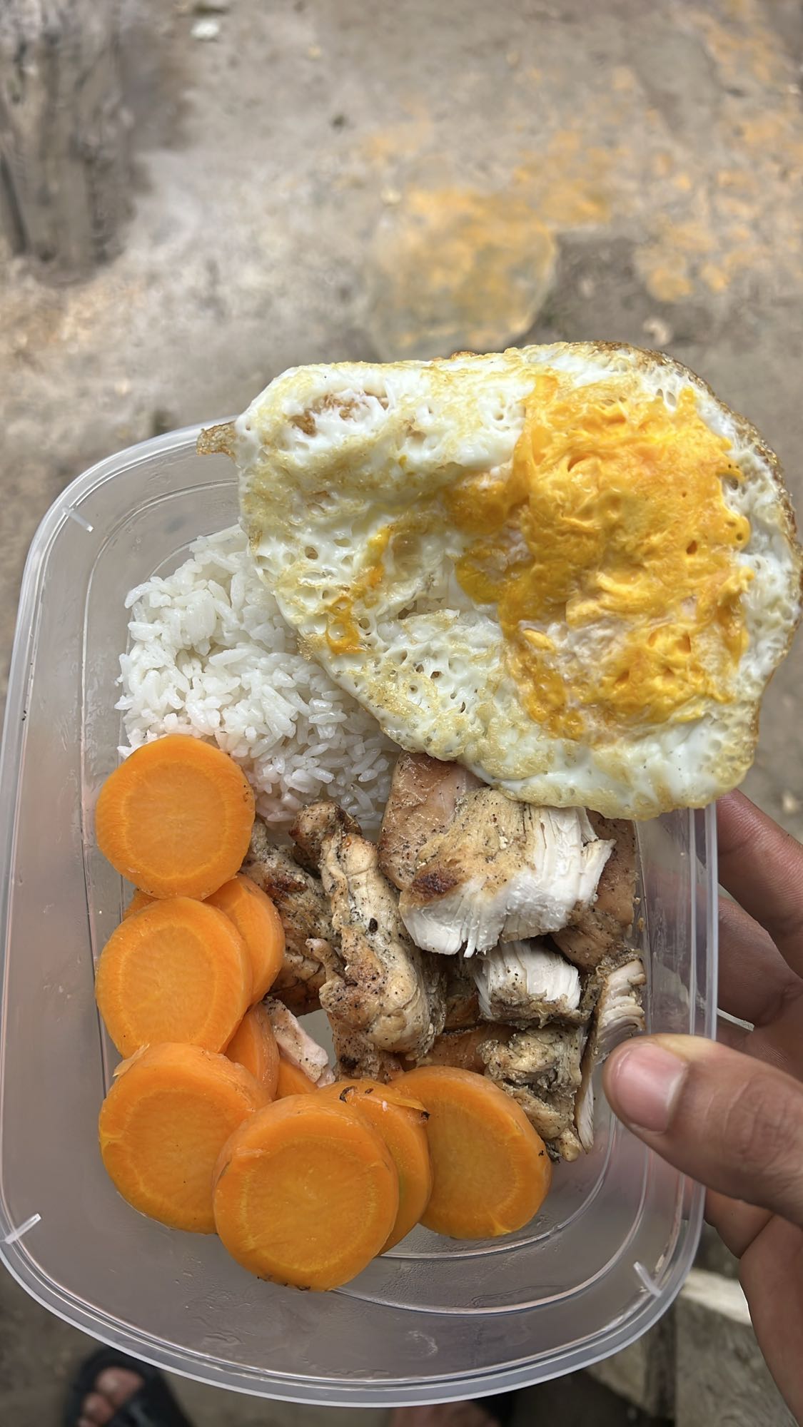 Pollo, arroz, zanahoria y huevo