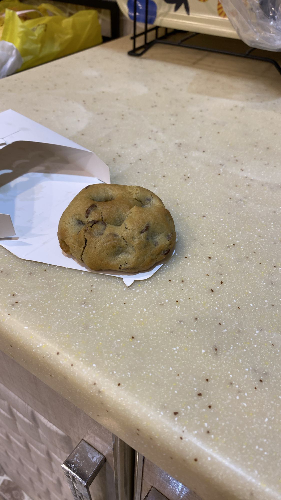 Chocolate Chip Cookie