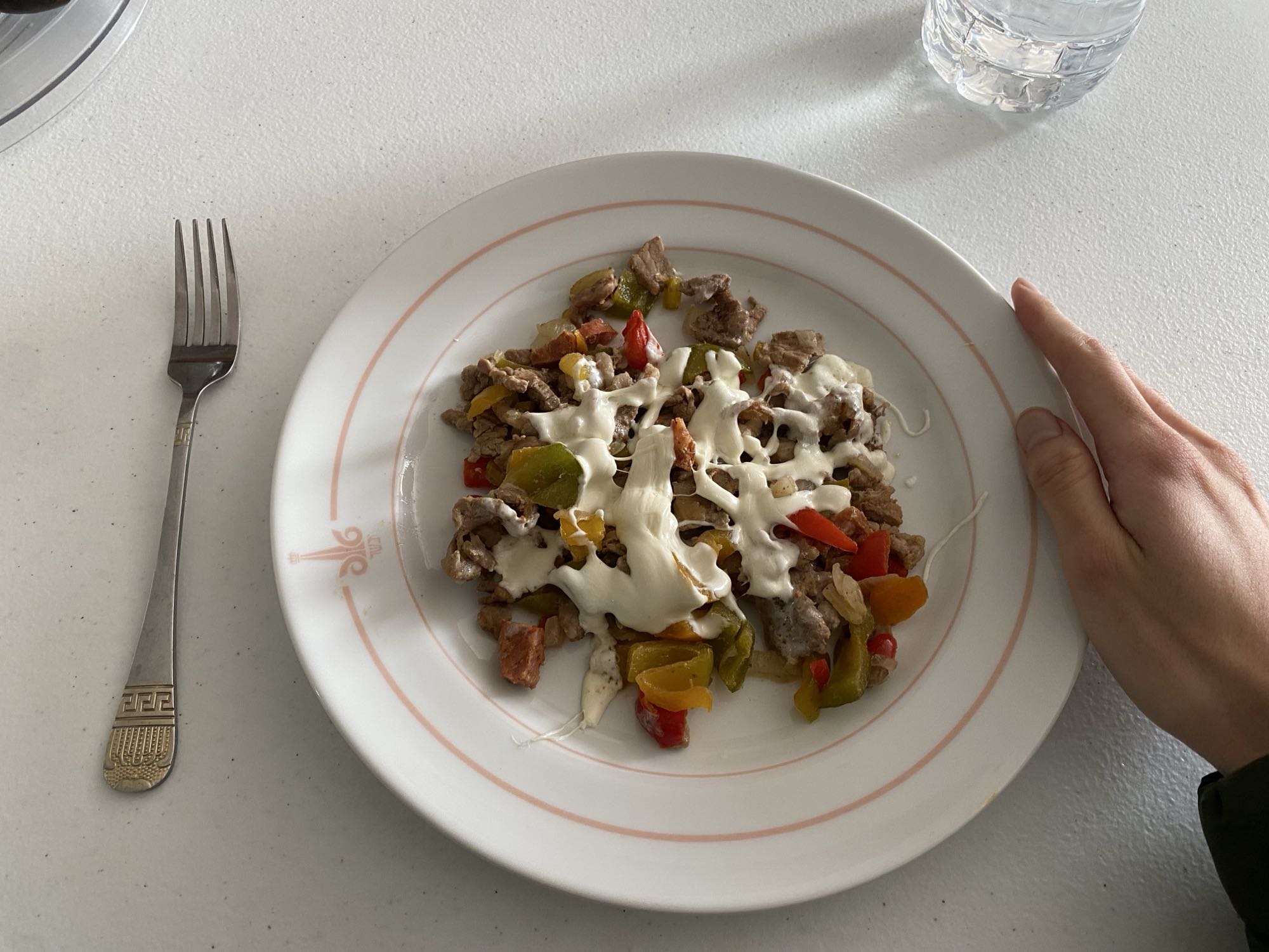 Carne con verduras y queso