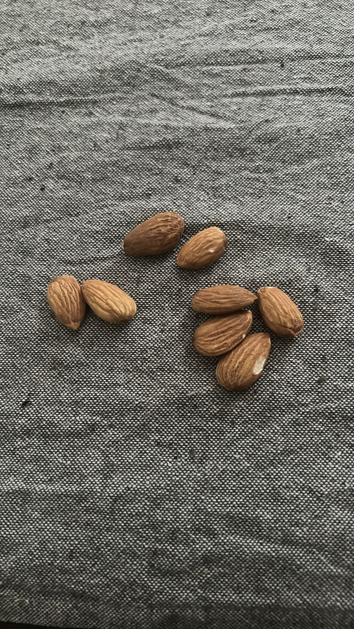 Նուշի հատիկներ