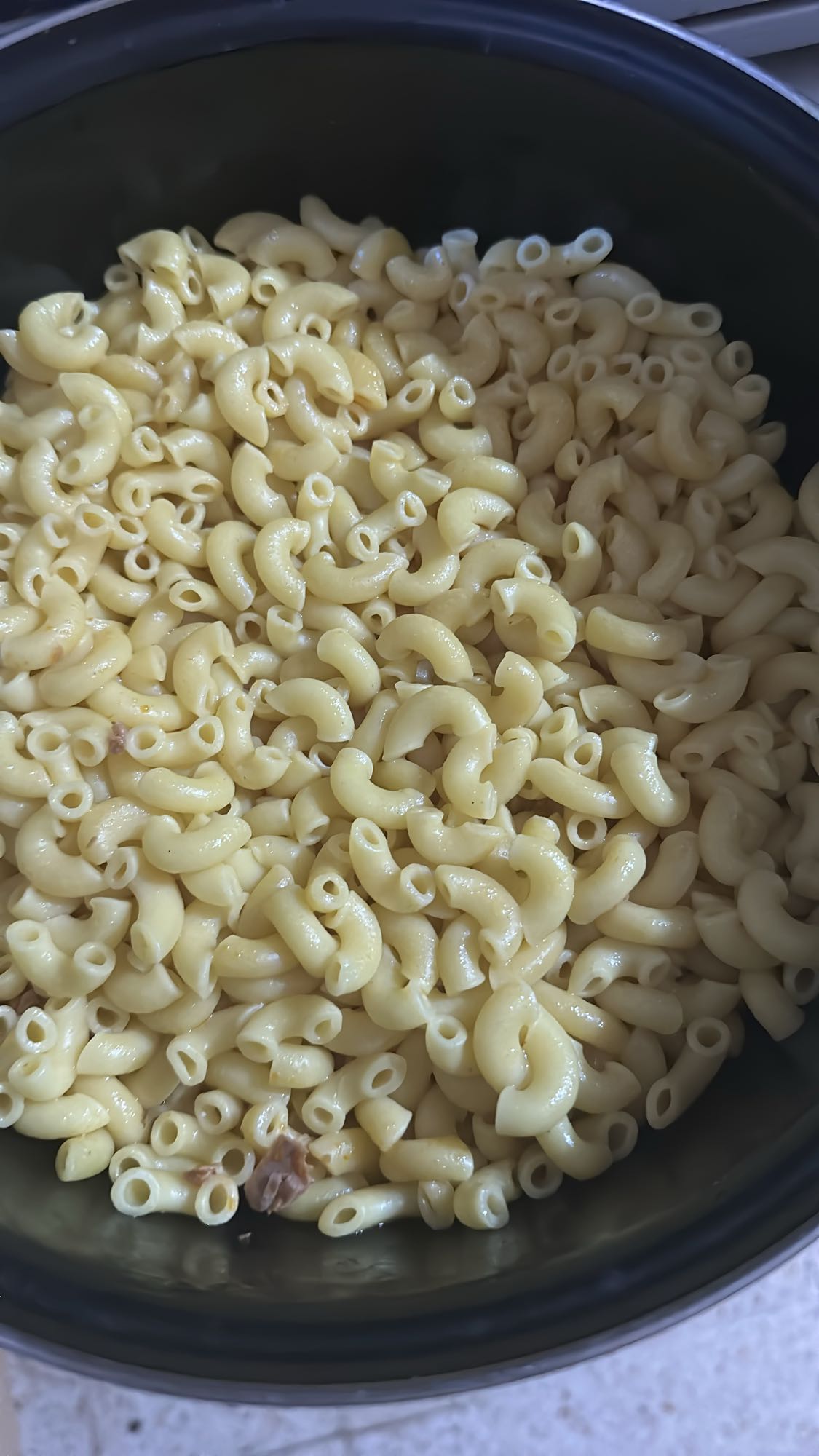 Plain Macaroni Pasta