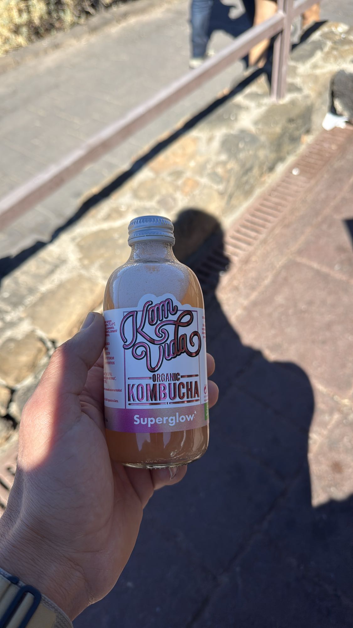 Kombucha orgánica