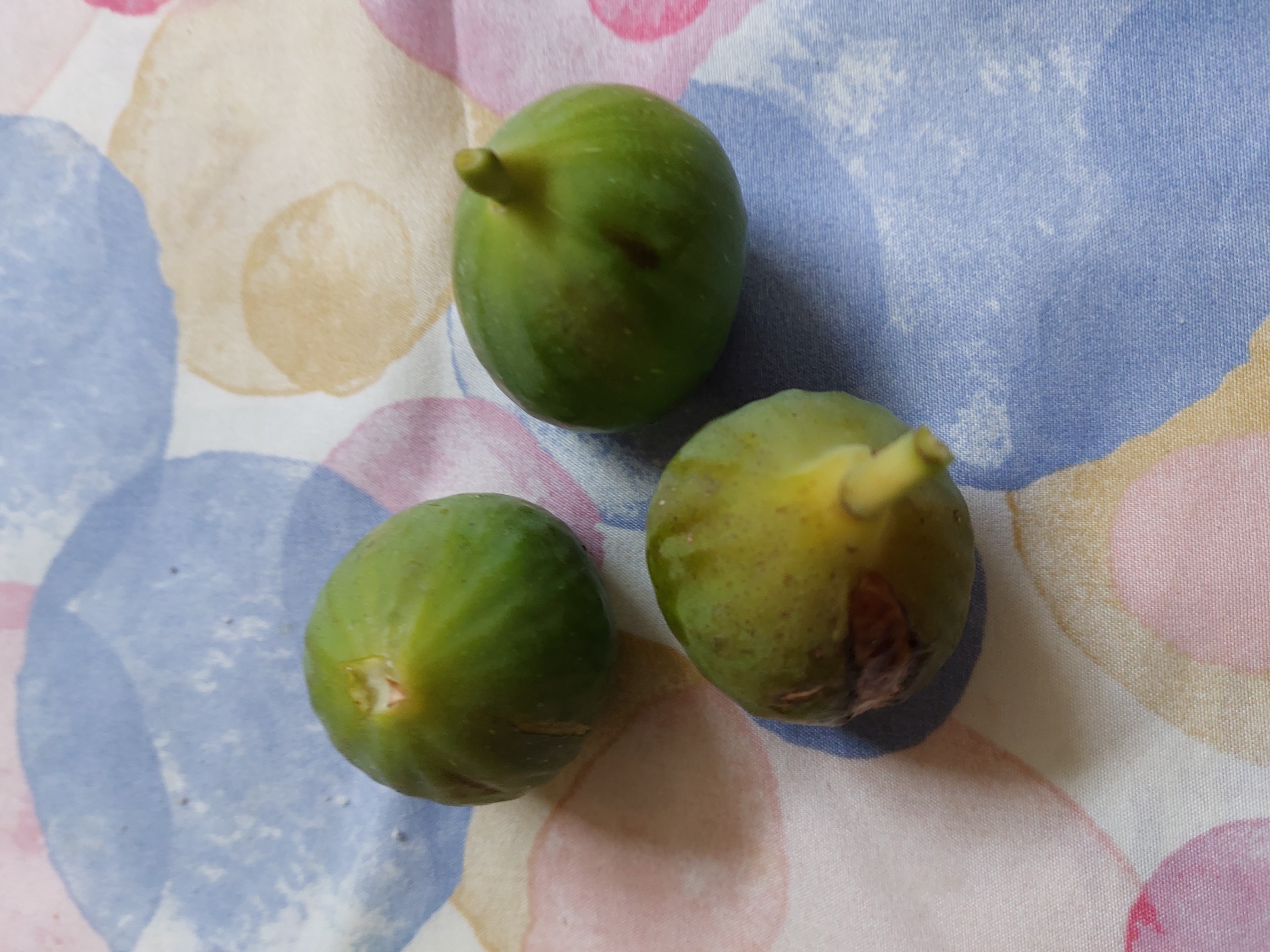 Fresh Green Figs