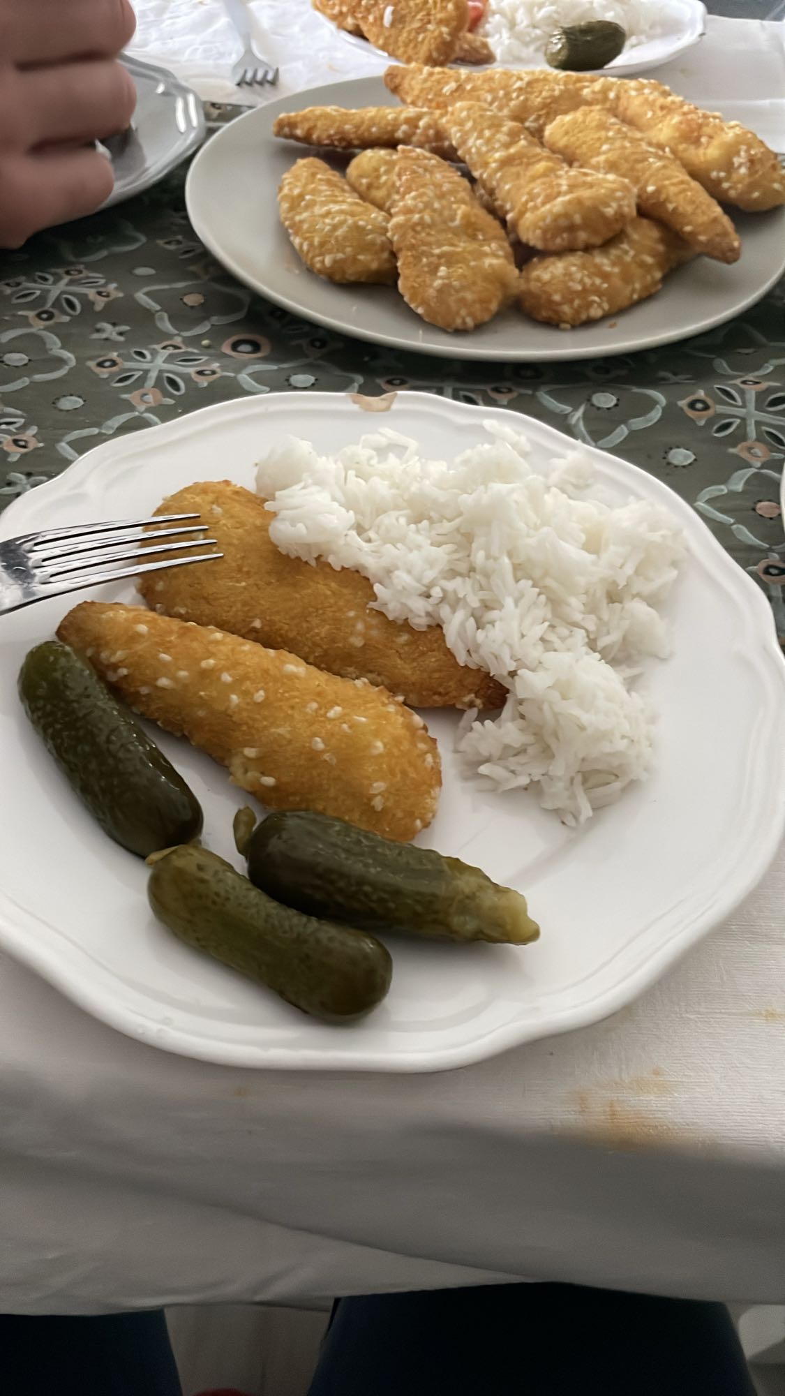 Pui pane cu orez și castraveți