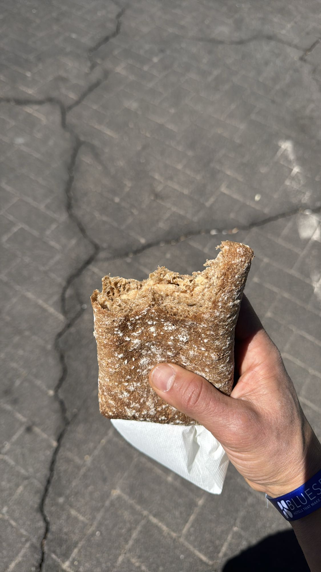 bocadillo integral con pollo desmenuzado