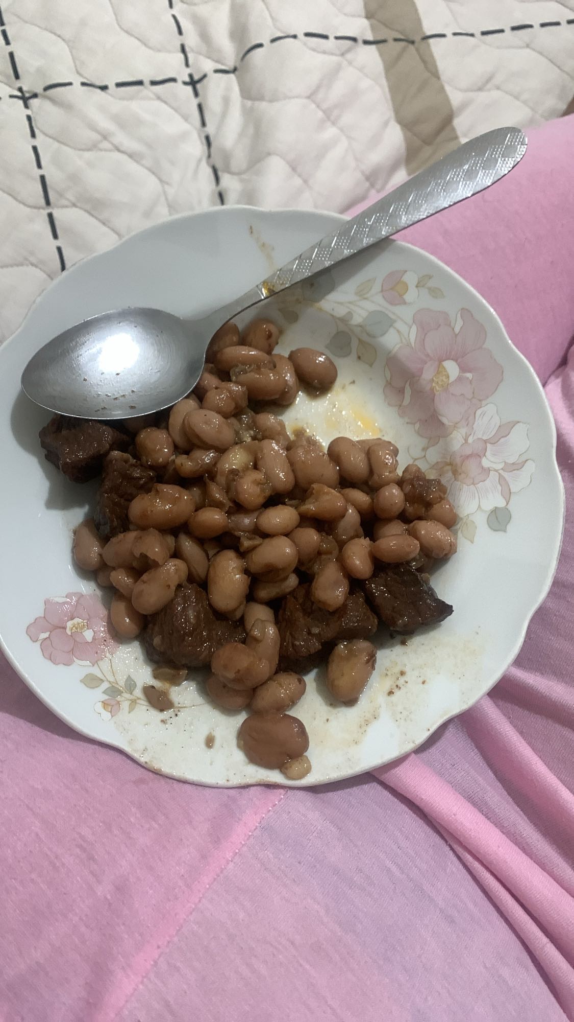 Beans and beef plate