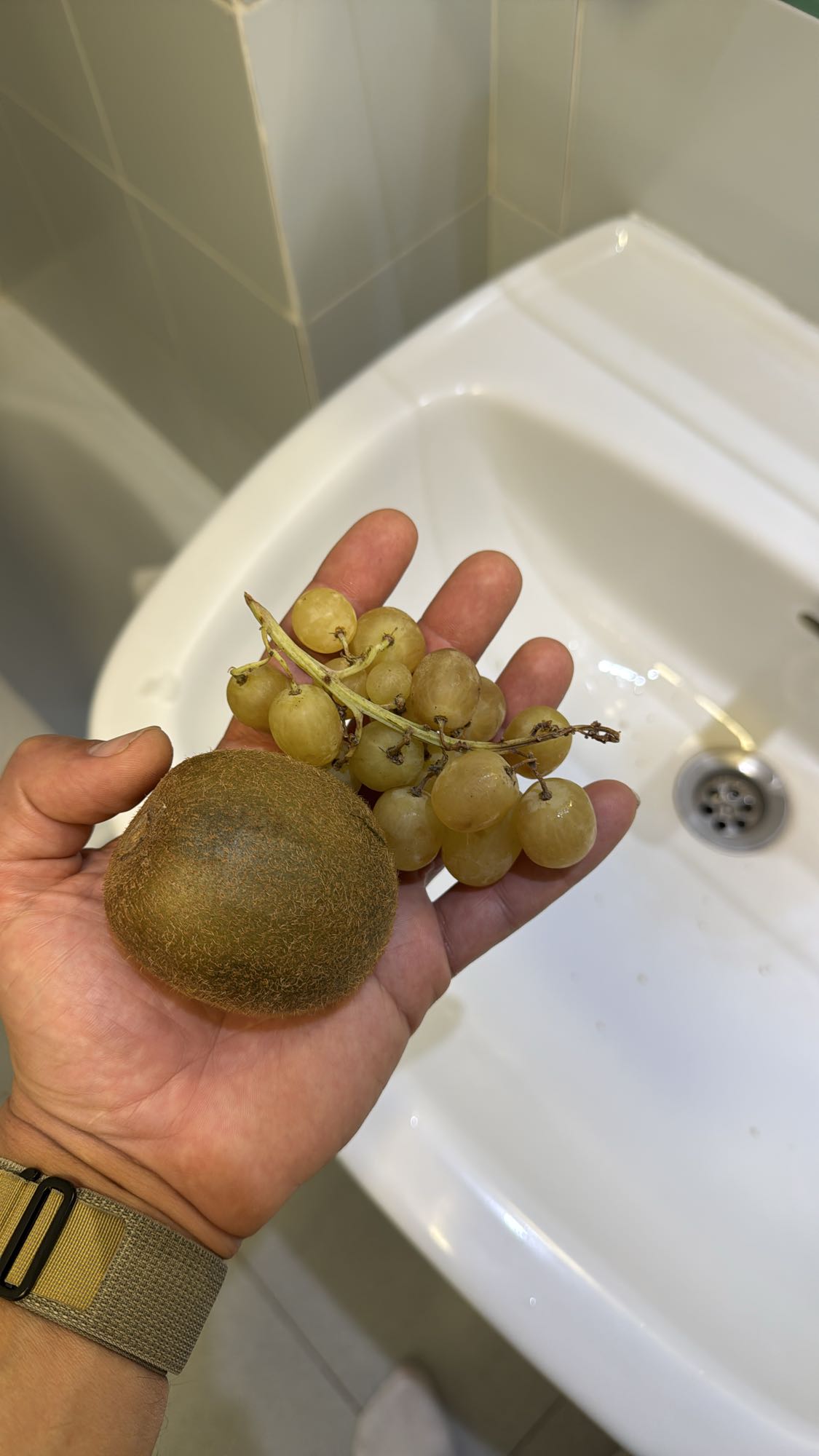 Fruta fresca en mano