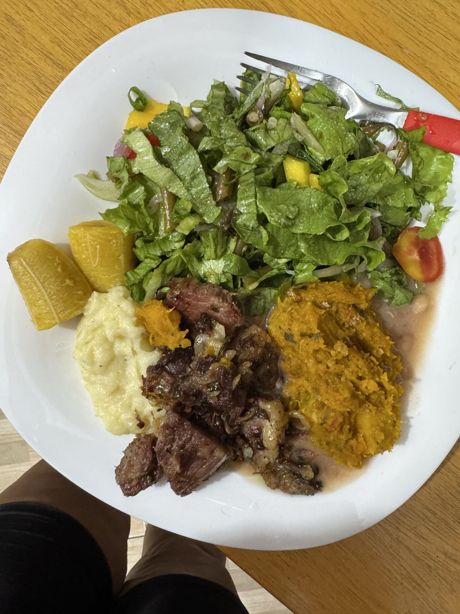 Carne com purê e salada