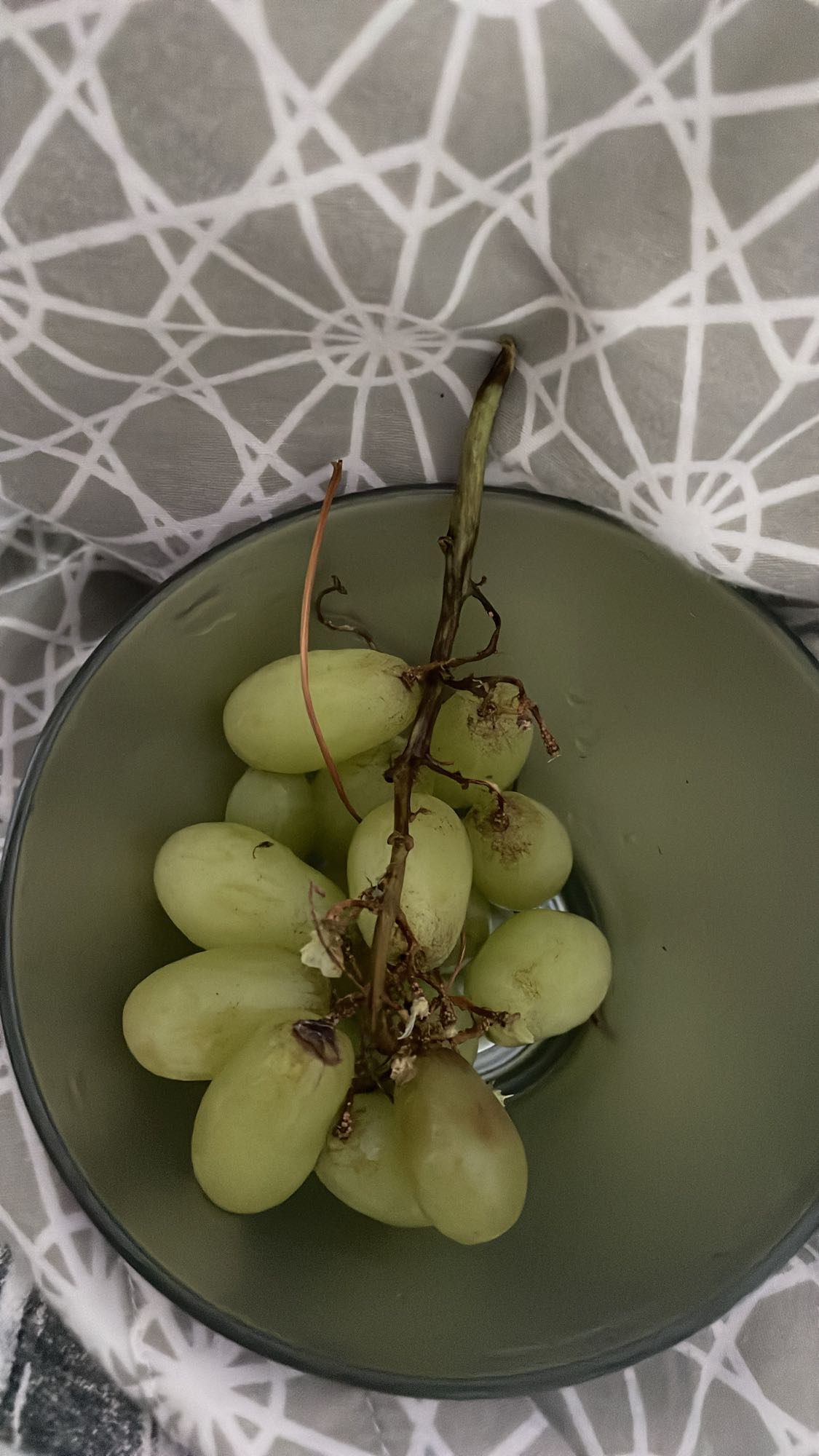 zielone winogrona