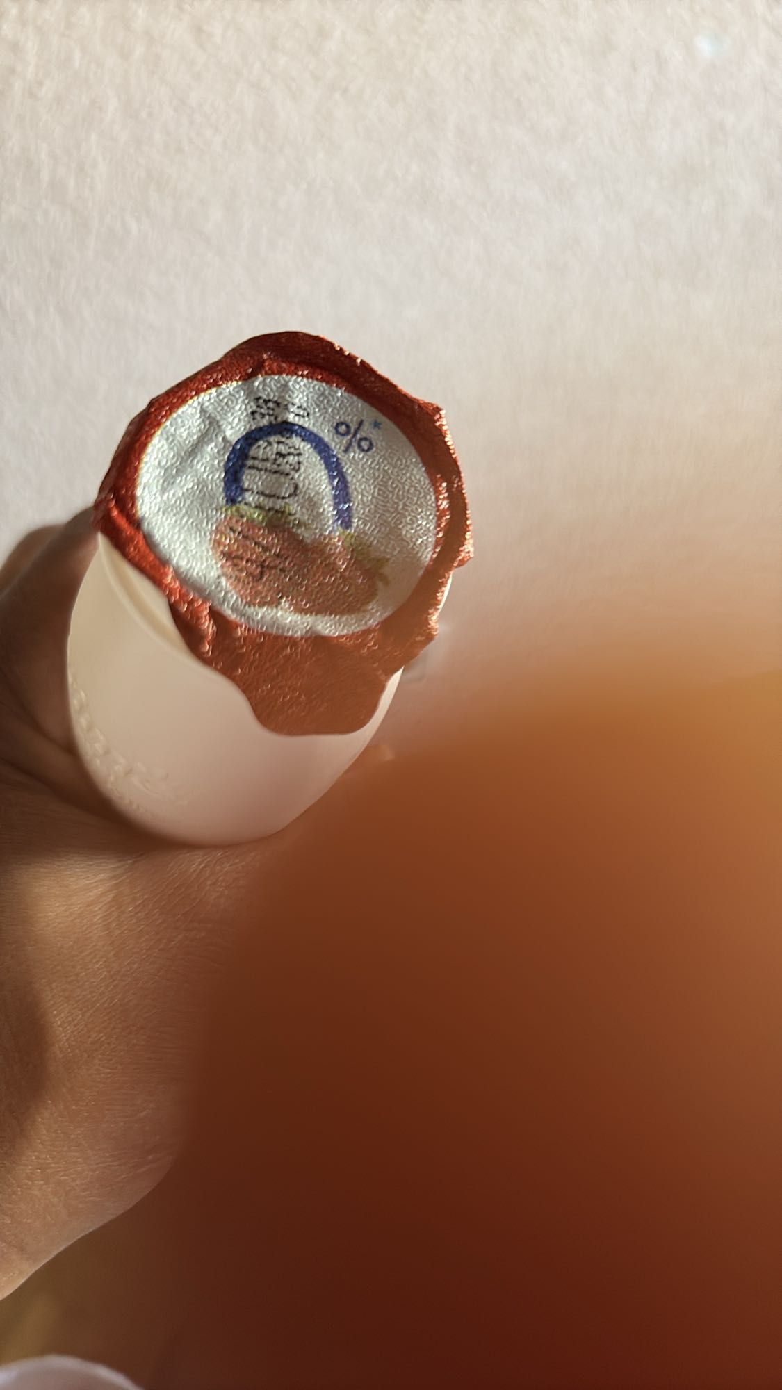 bebida láctea probiótica