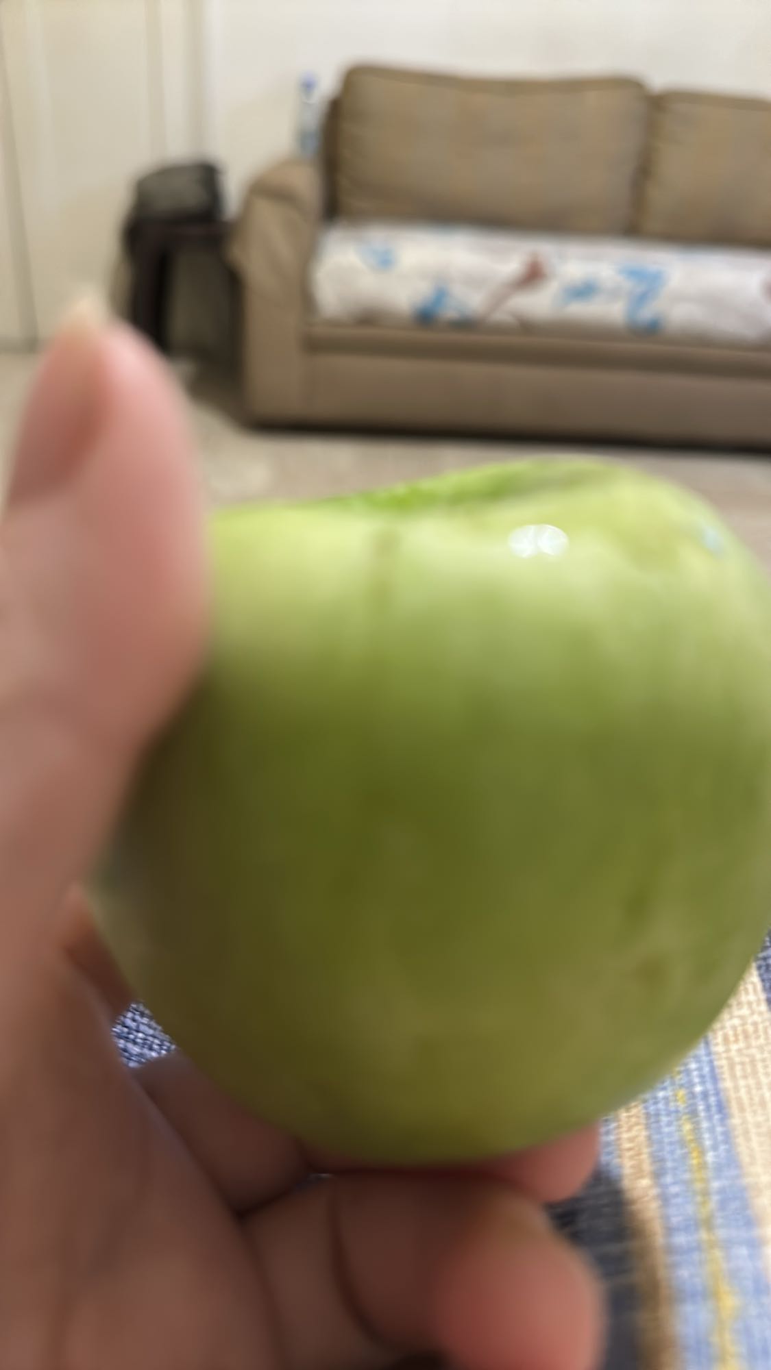 Green Apple Snack