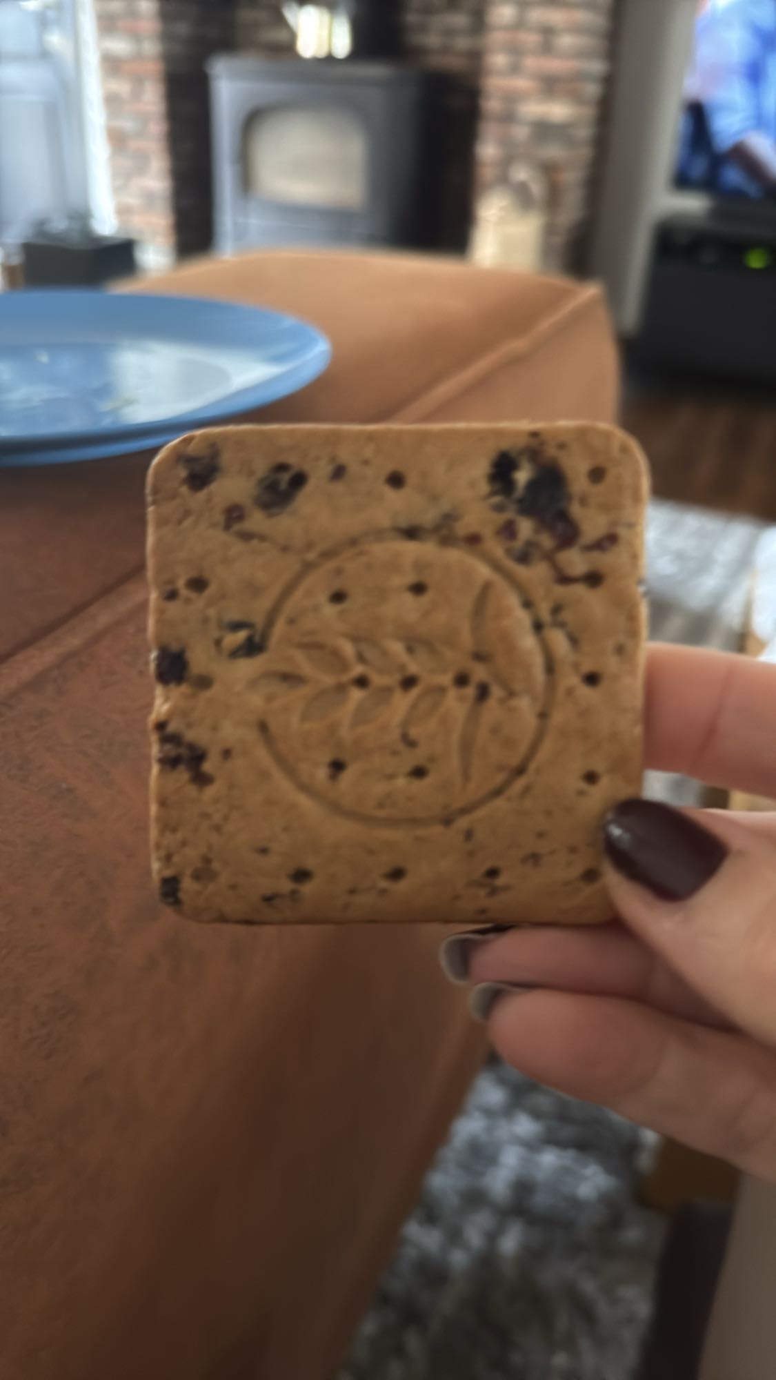 Haverkoekje met rozijnen