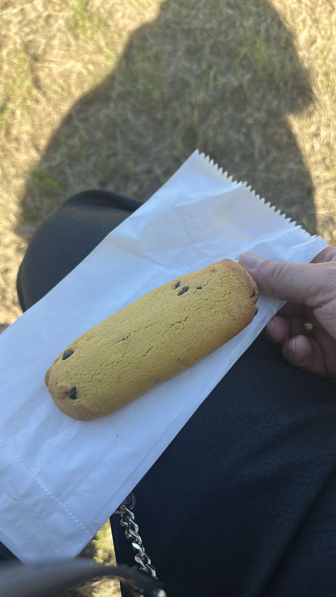 Chocolate Chip Cookie Stick