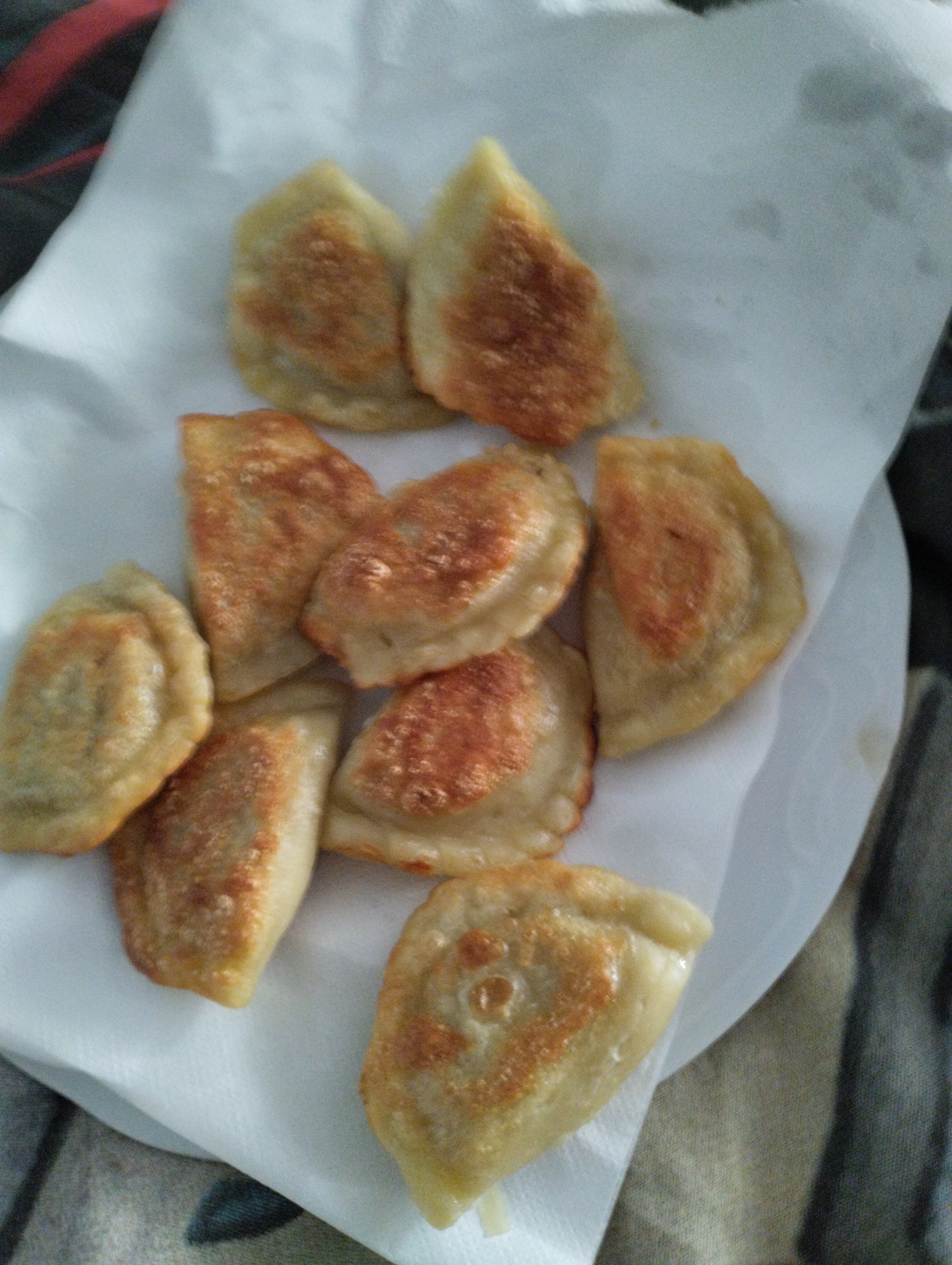 Fried Dumplings