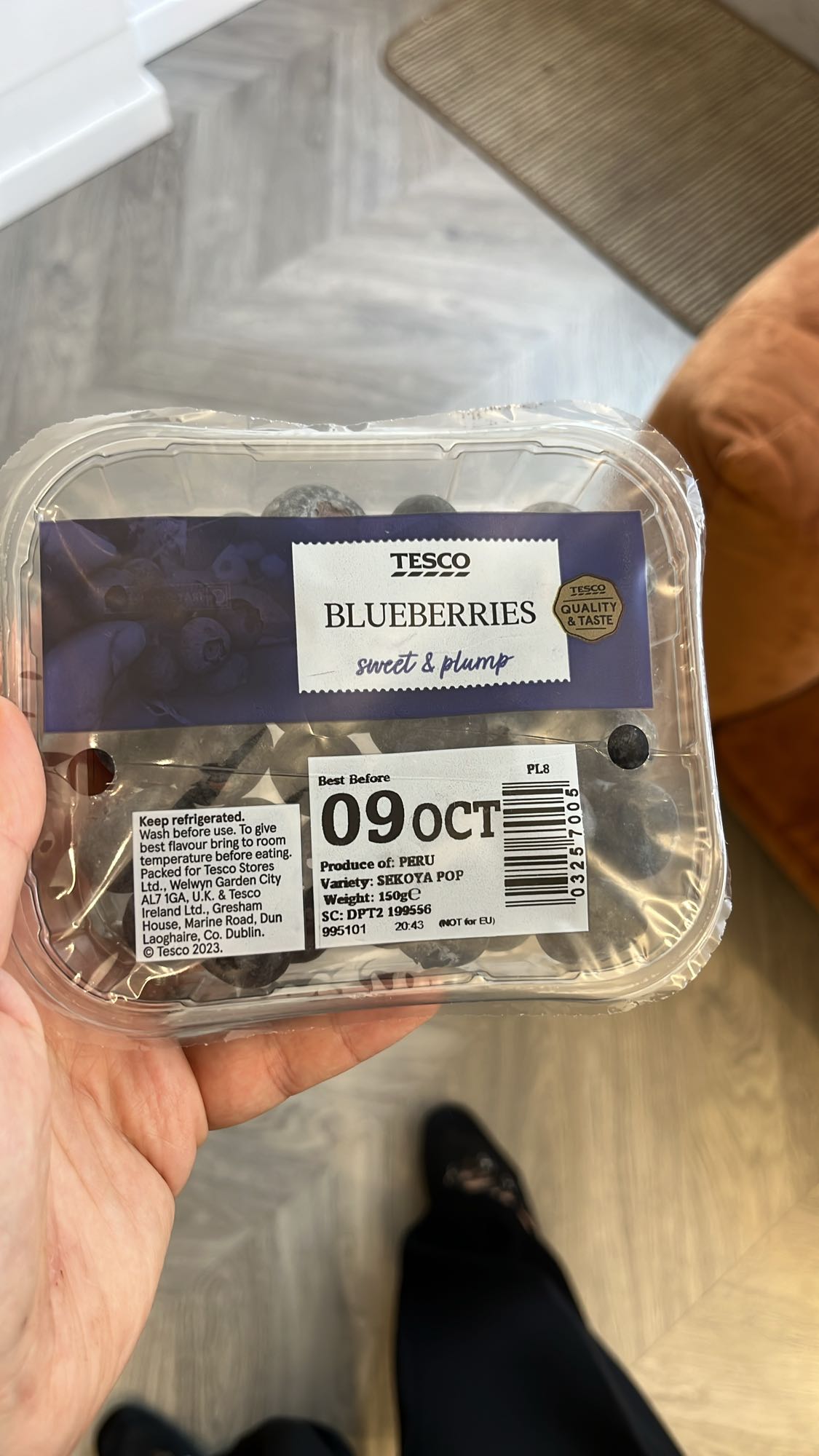 Fresh Blueberries
