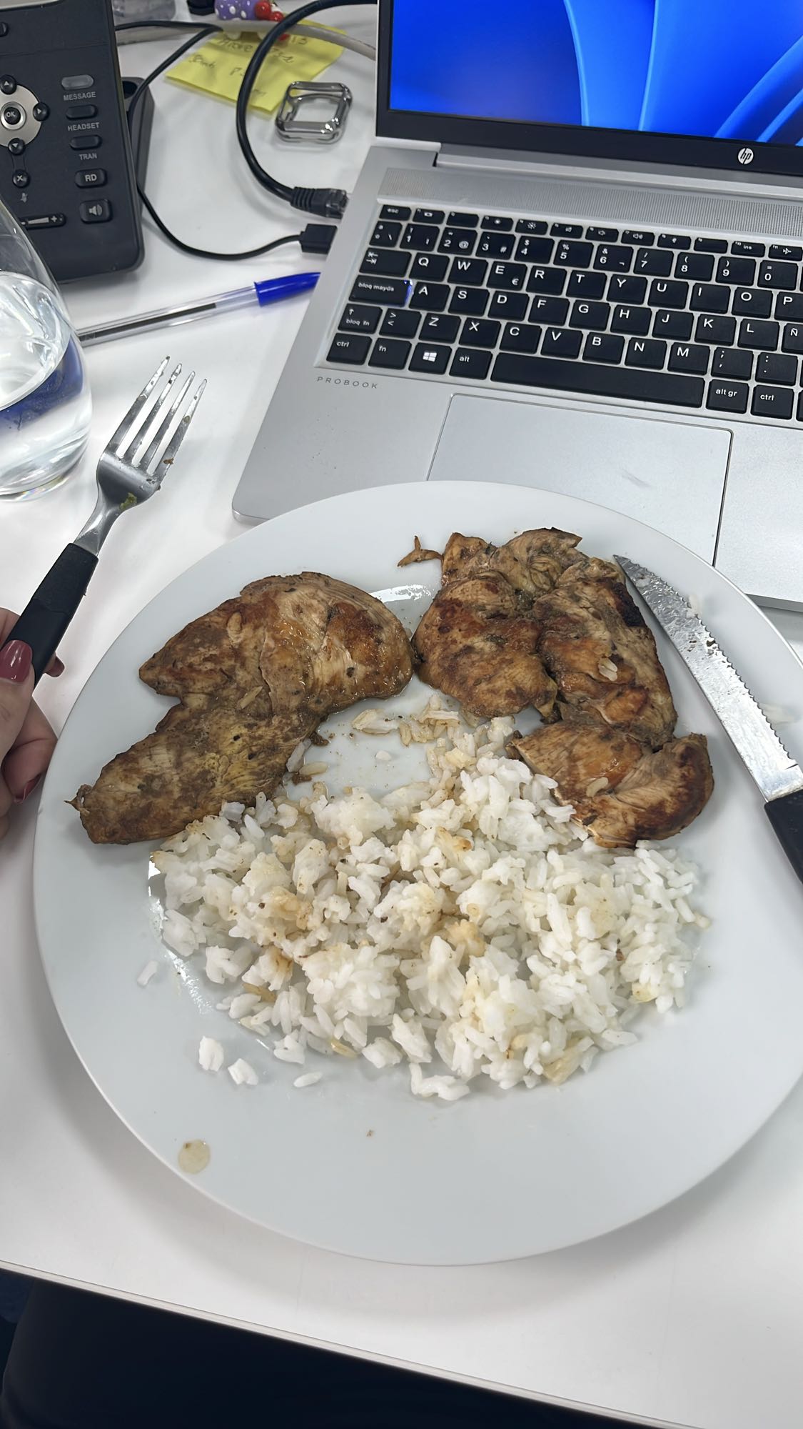 Pollo con arroz blanco