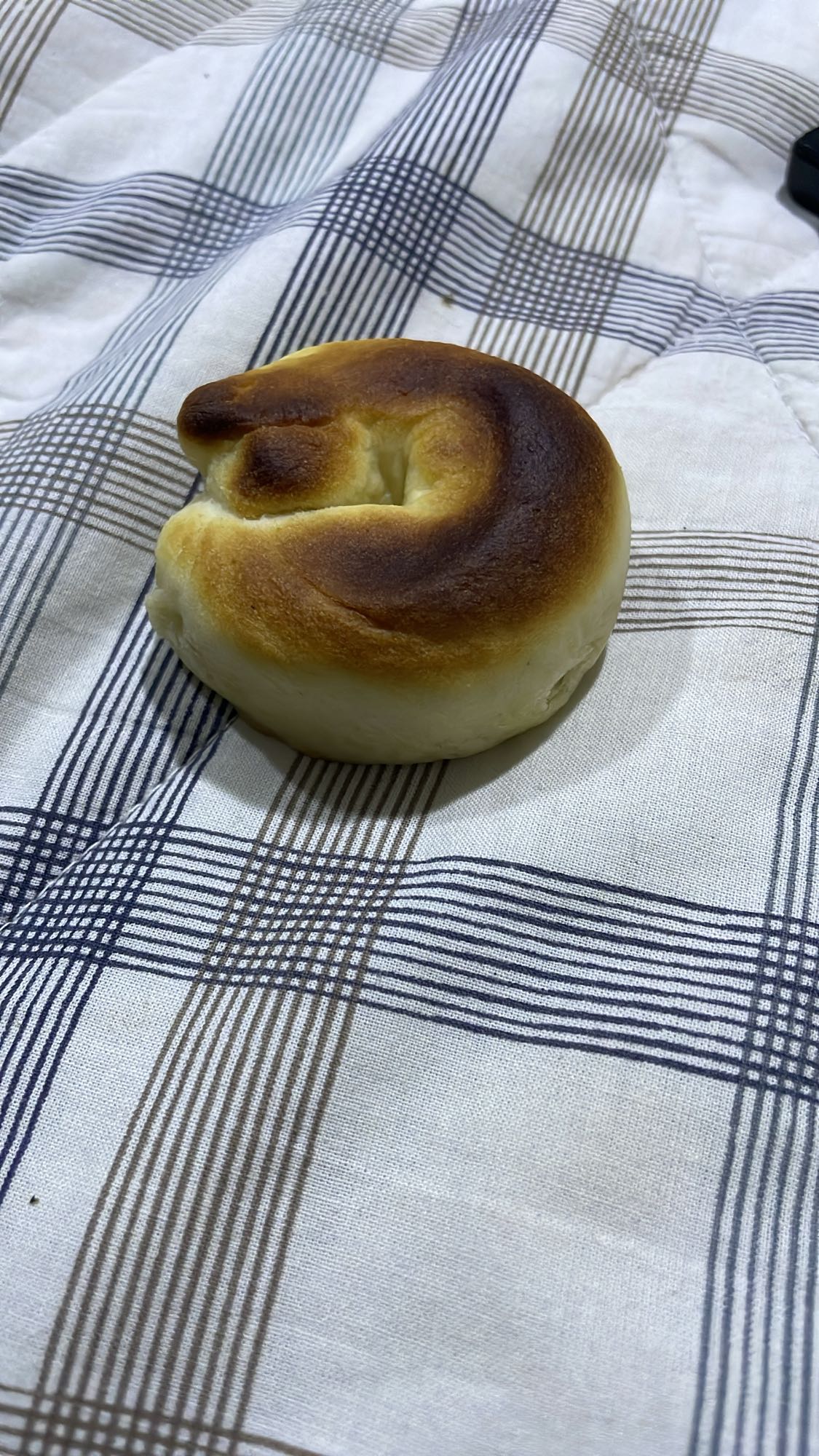 Plain bagel roll