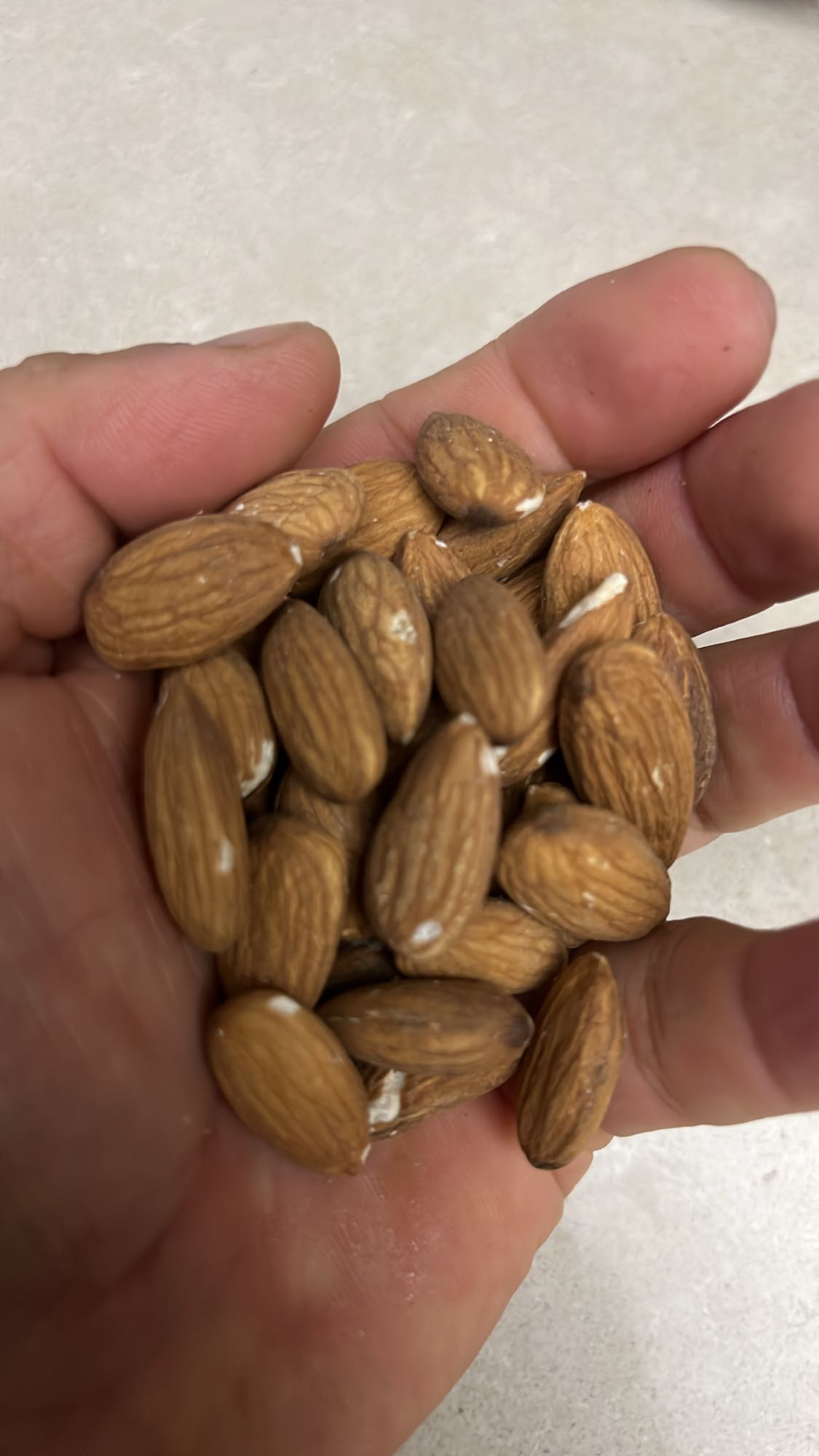 Handful of Almonds