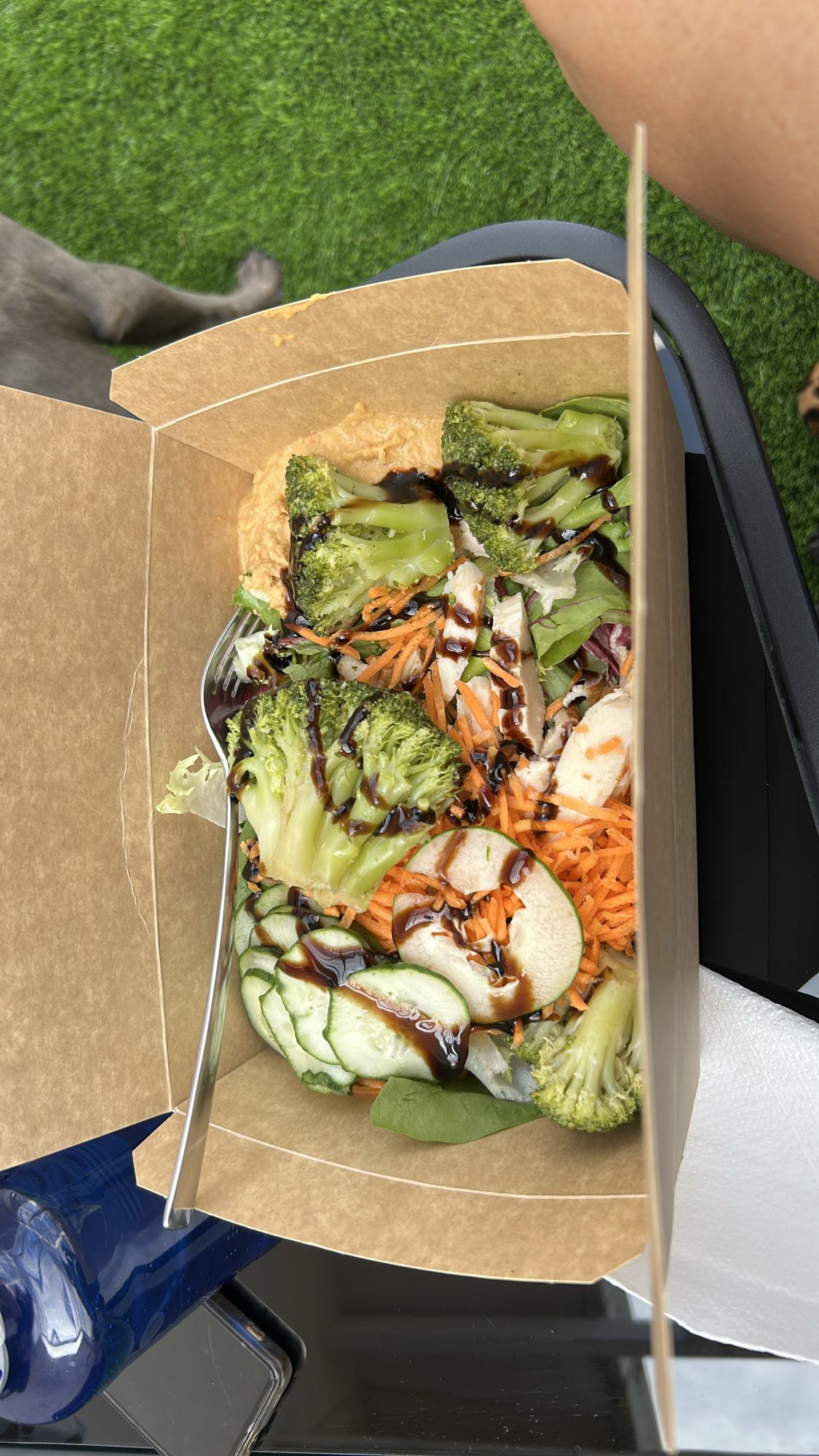 Ensalada con pollo y hummus