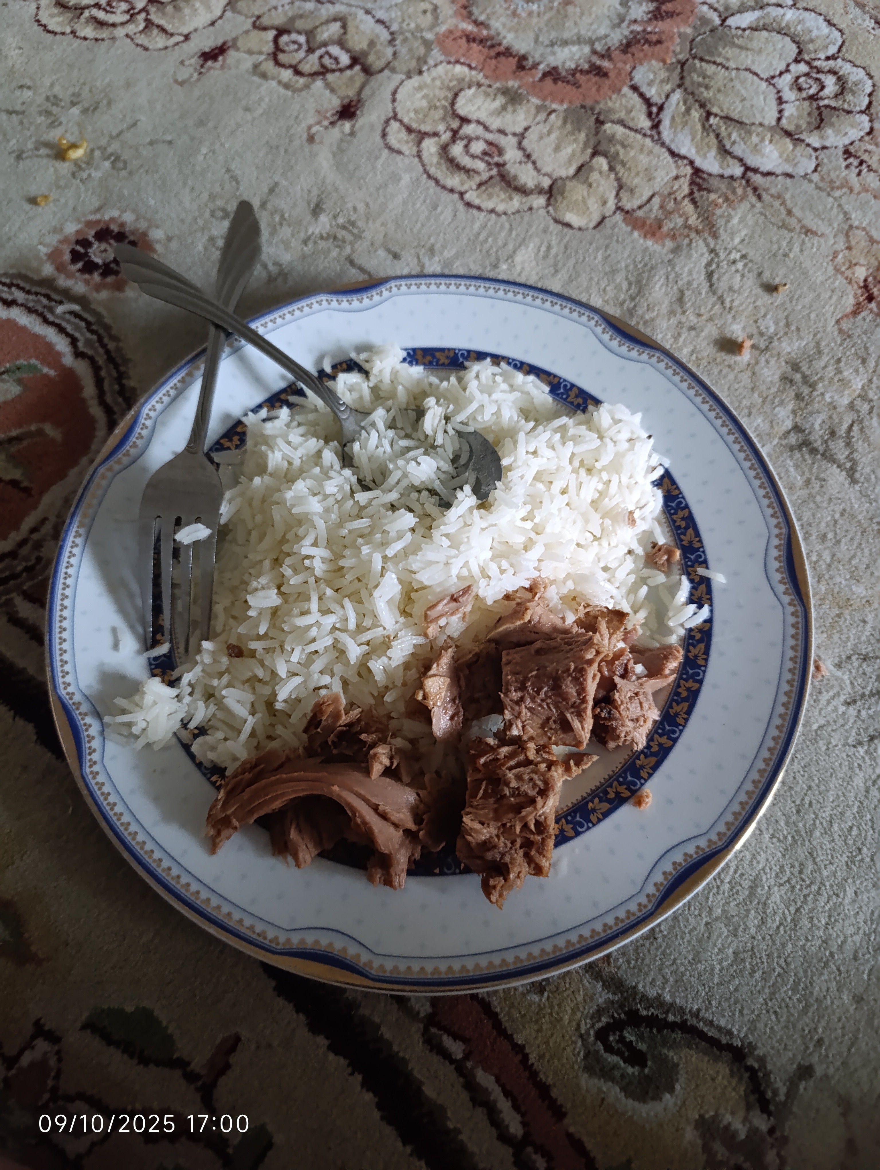 Rice with canned meat