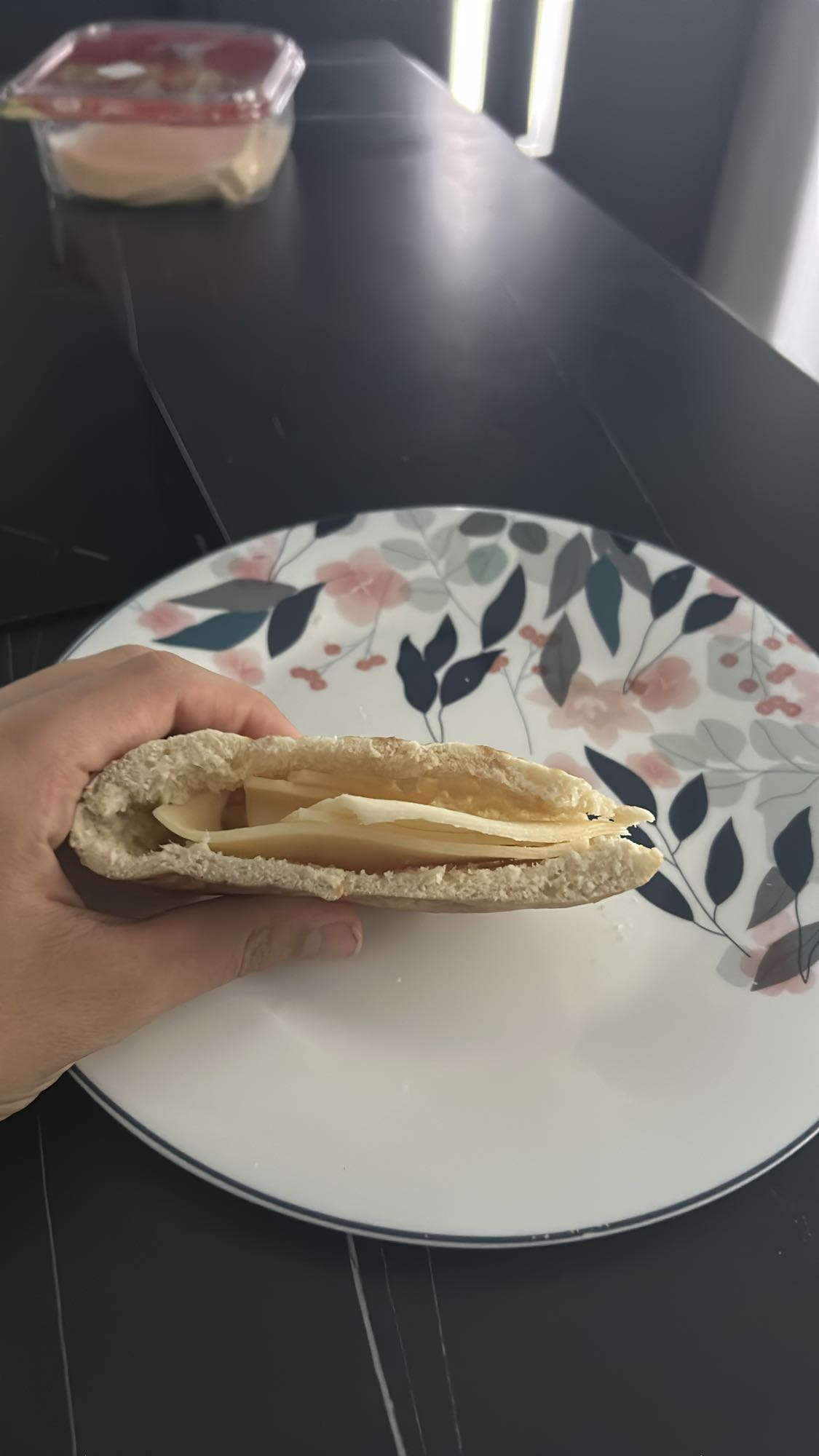 Cheese Pita Sandwich