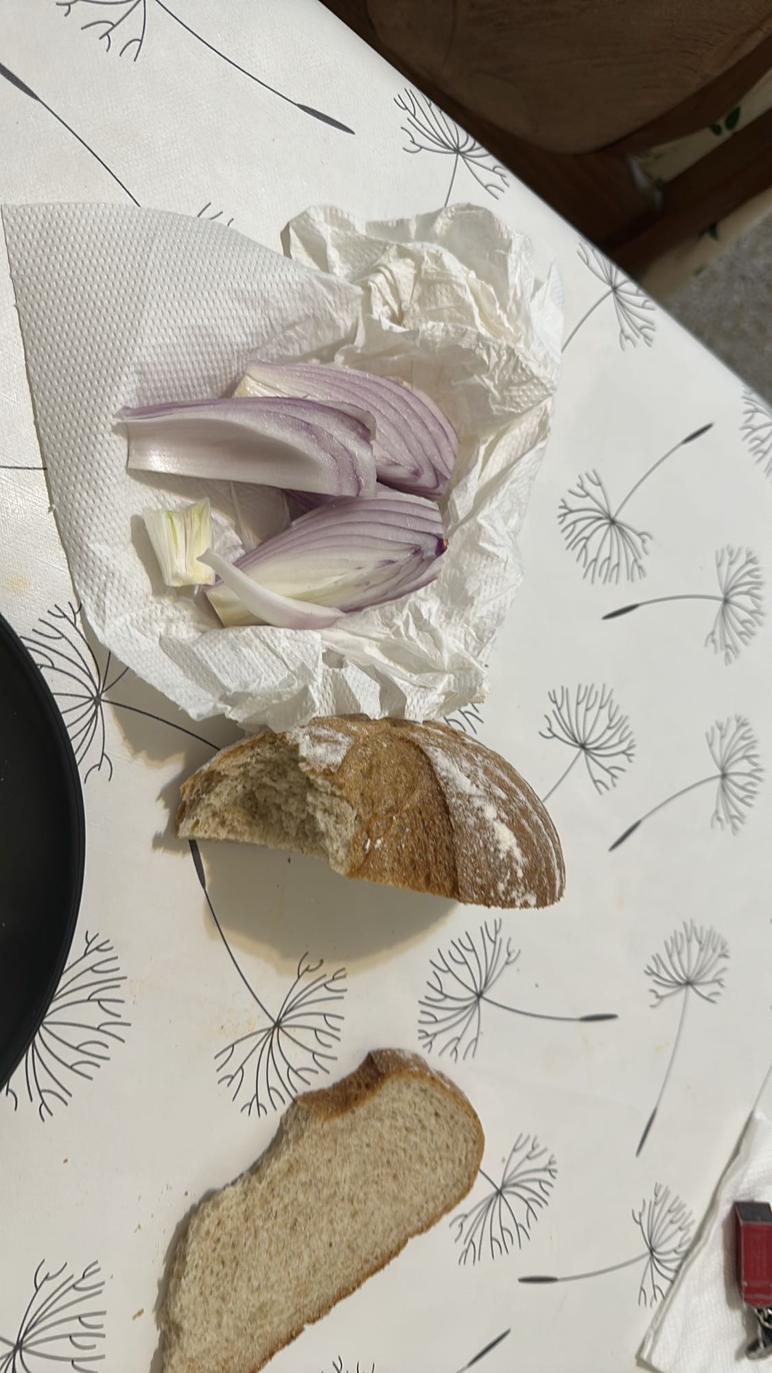 Bread and raw onion