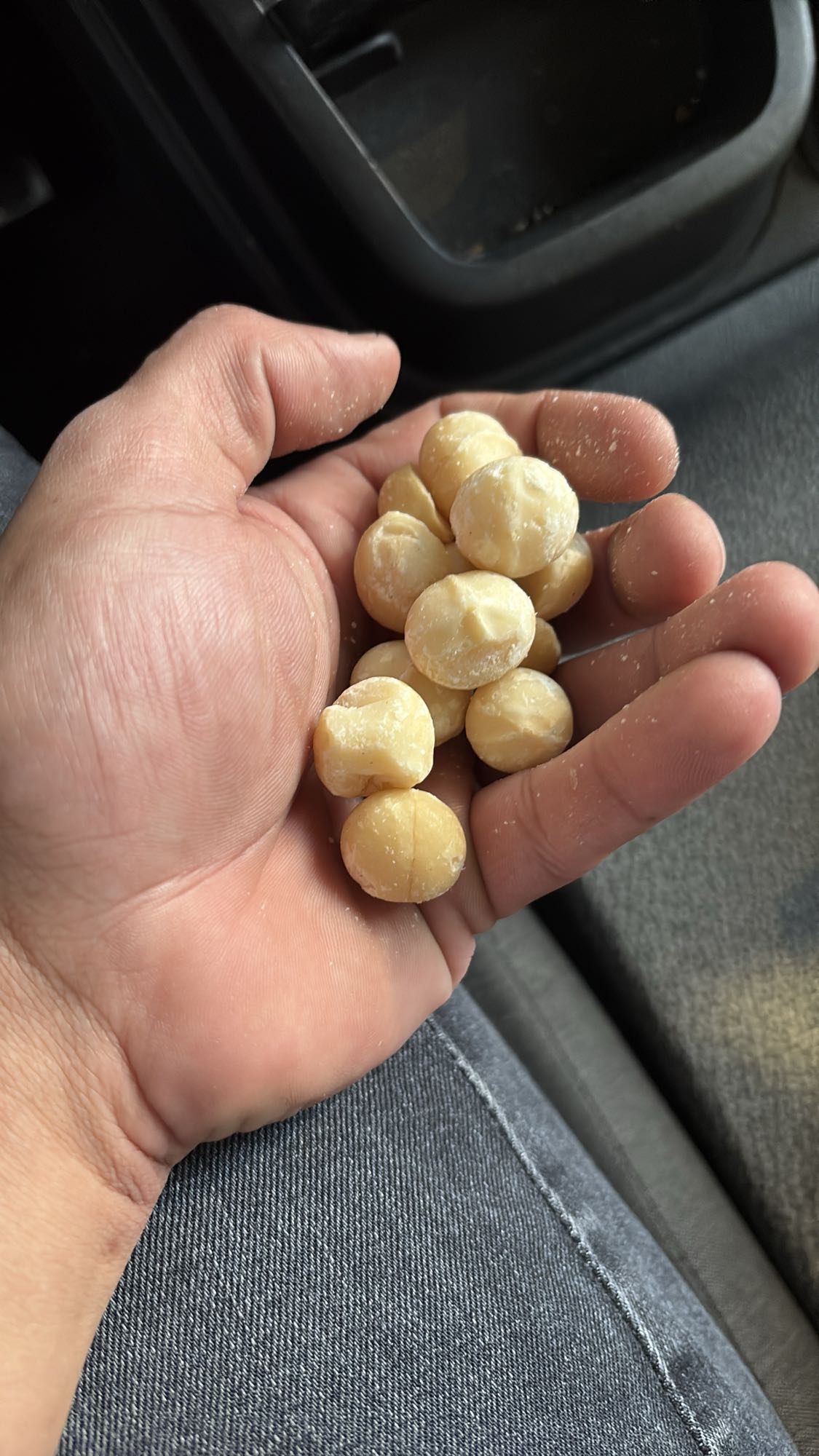 Handvol macadamianoten